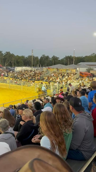 Hillsborough County Fair - Pretty large field / arena for the rodeo - Festivals Near Me - Dover, Florida