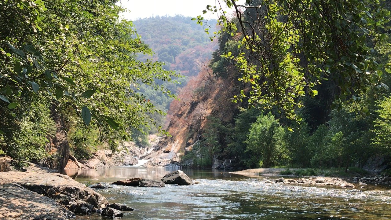 Buckeye Flat Campground - The river next to the campsite. You can hear the water running its so relaxing. - Parks Near Me - Three Rivers, California