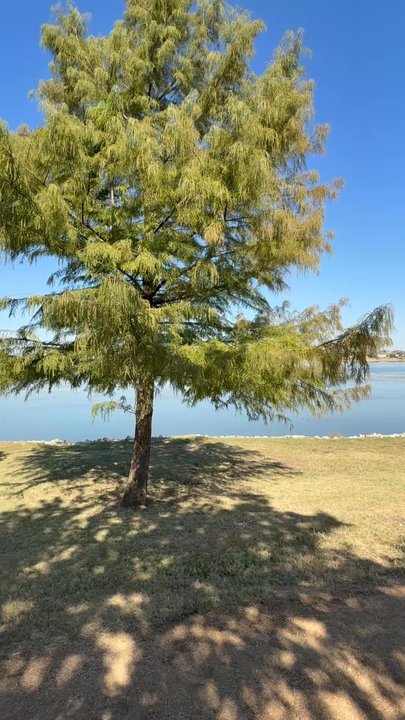 Lake Pflugerville - Parks Near Me - Pflugerville, Texas