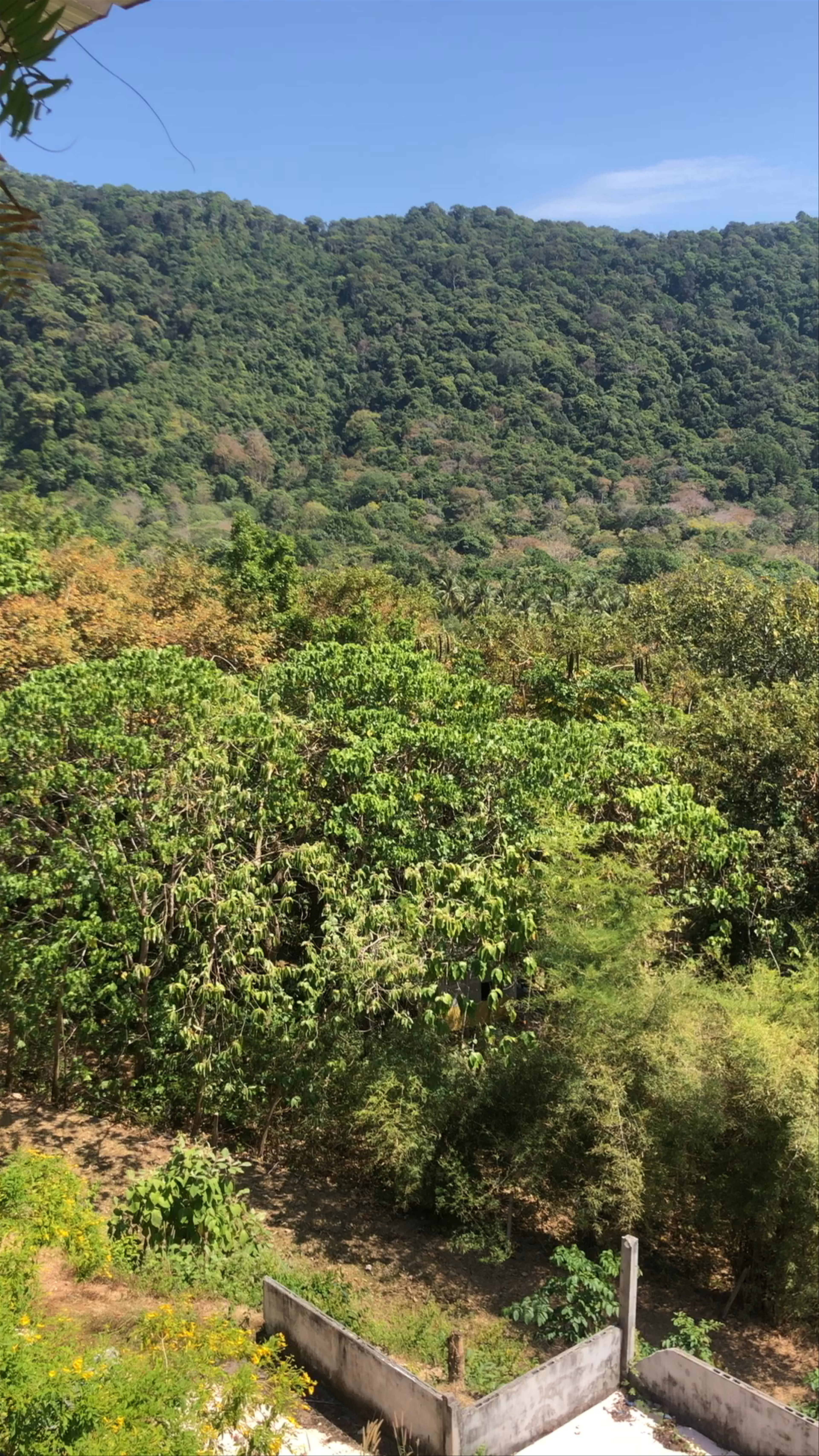 Bamboo Beach Serenity: Hidden Tropical Escape in Ko Lanta Yai, Thailand
