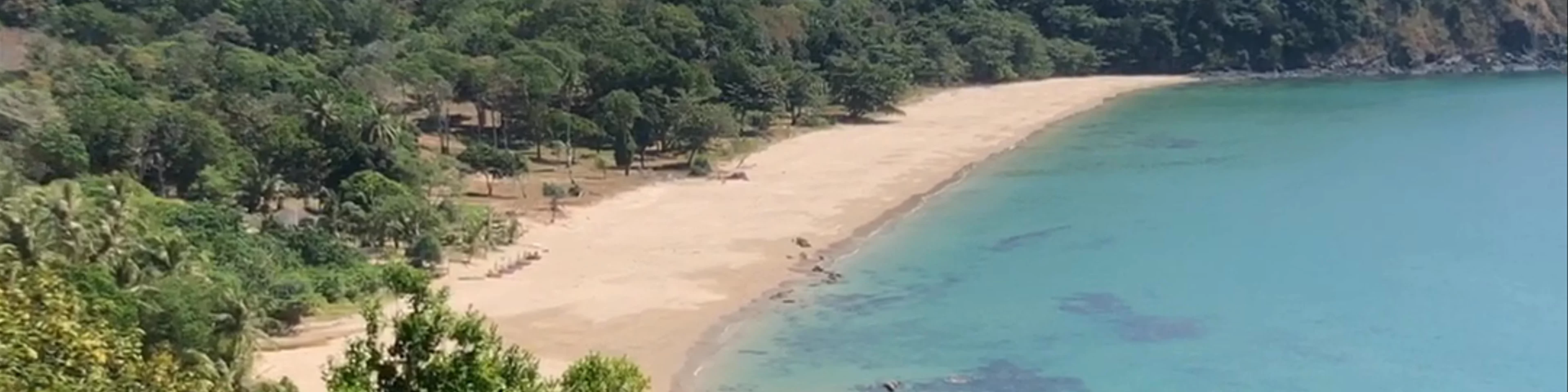 Bamboo Beach View