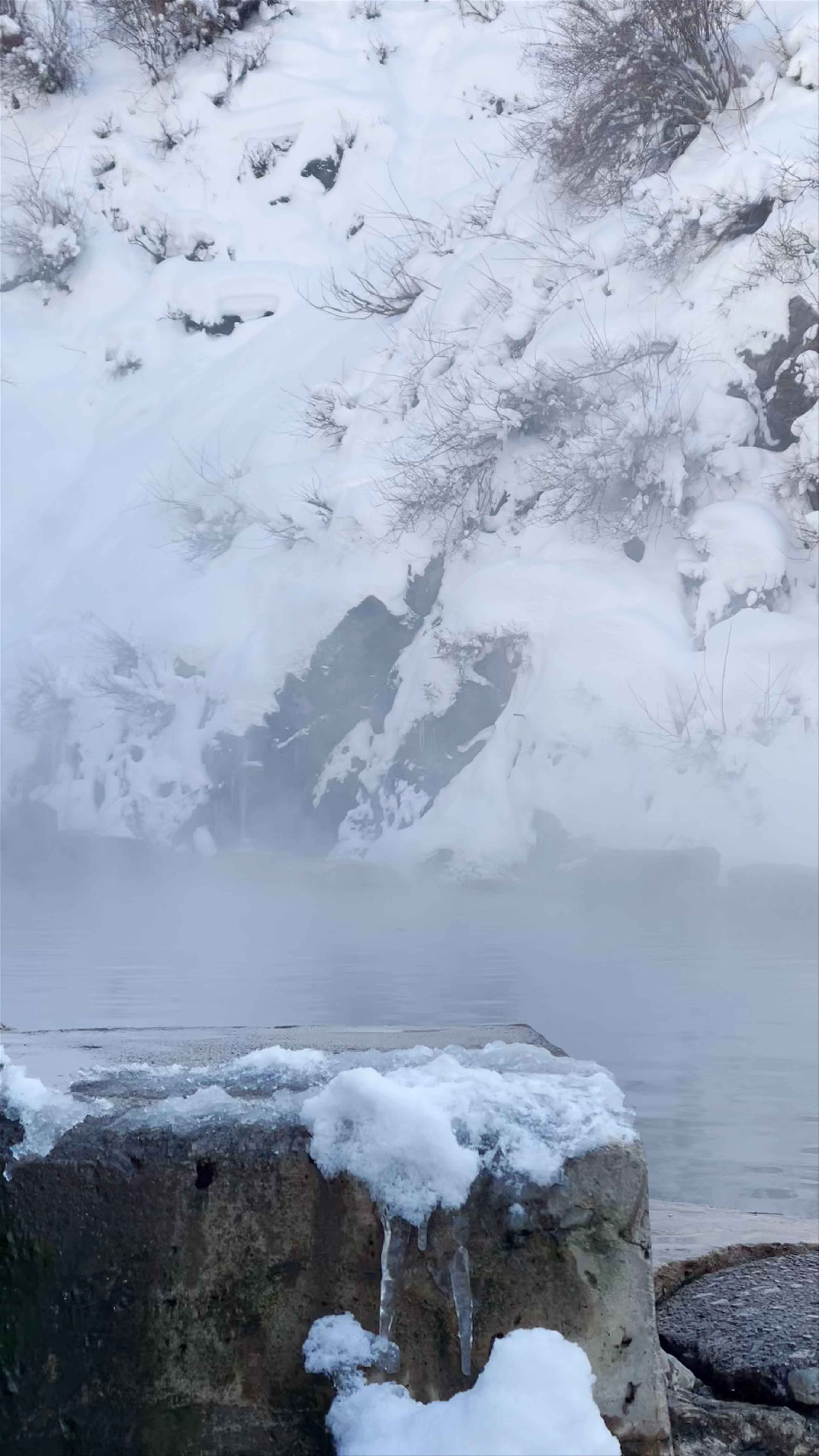 Snow Monkey Park(Jigokudani Yaen Koen)