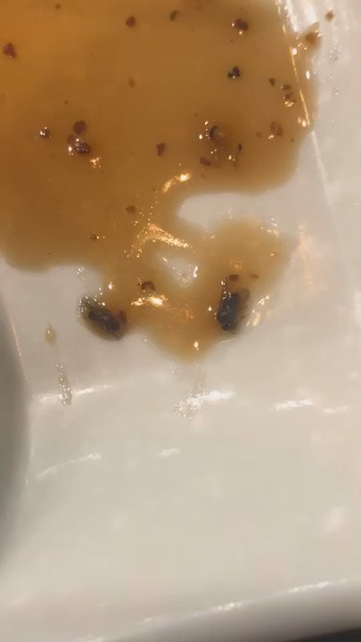 Sushi Station - Bugs in beef sashimi - Japanese Near Me - Thunder Bay, Ontario