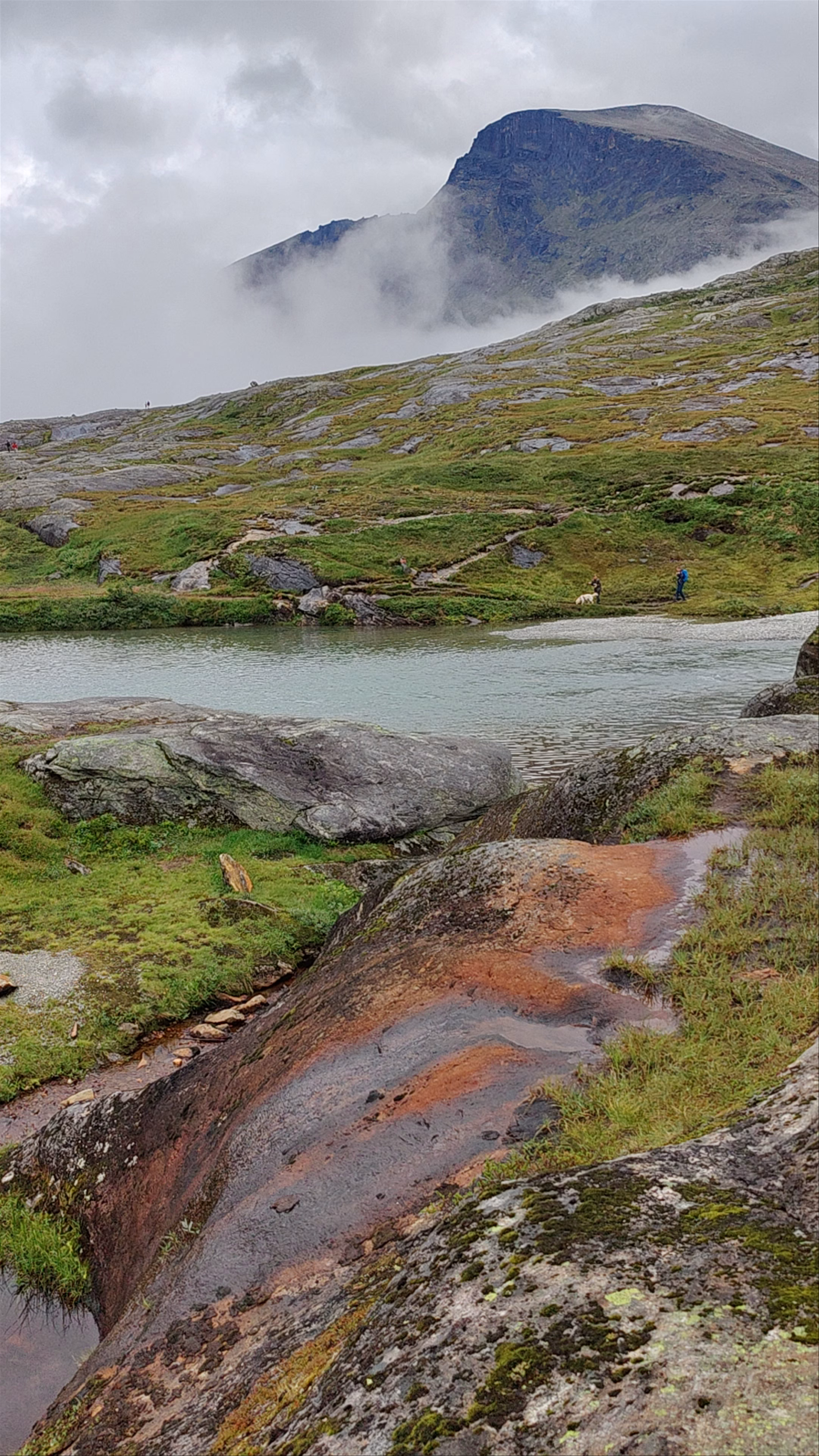 Valldøla River View Point