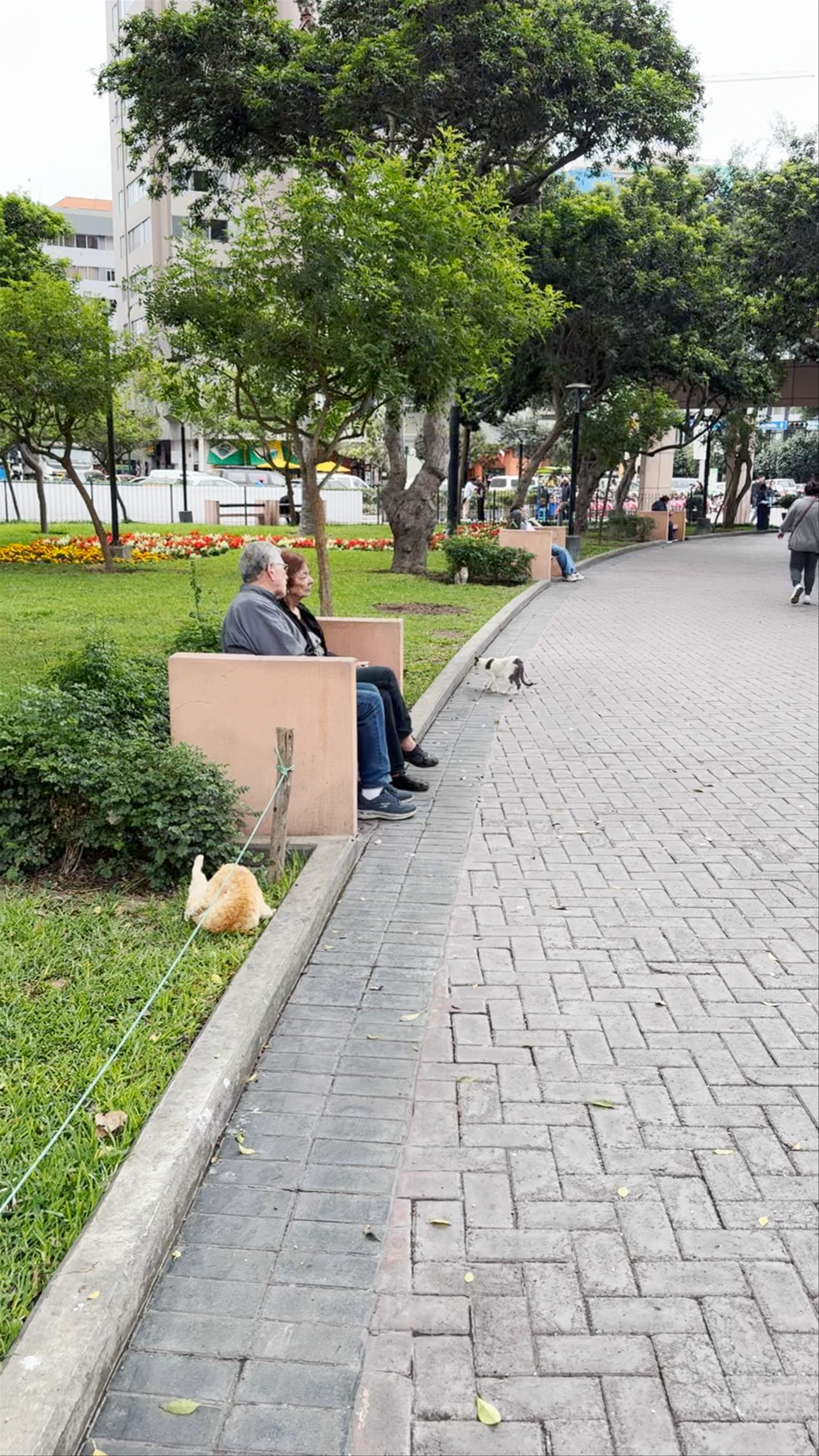 Parque Kennedy
