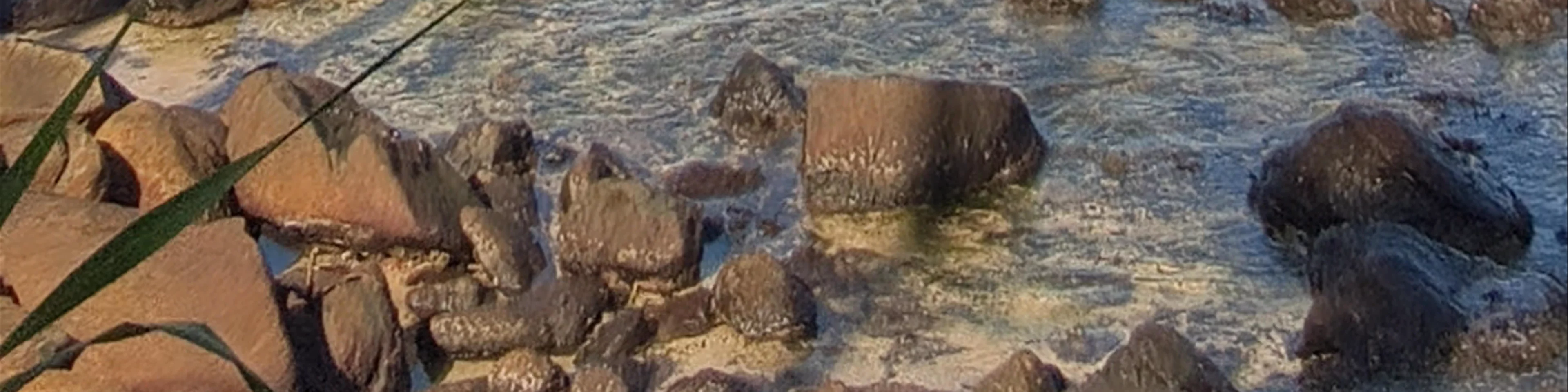 Coconut Tree Hill - Mirissa