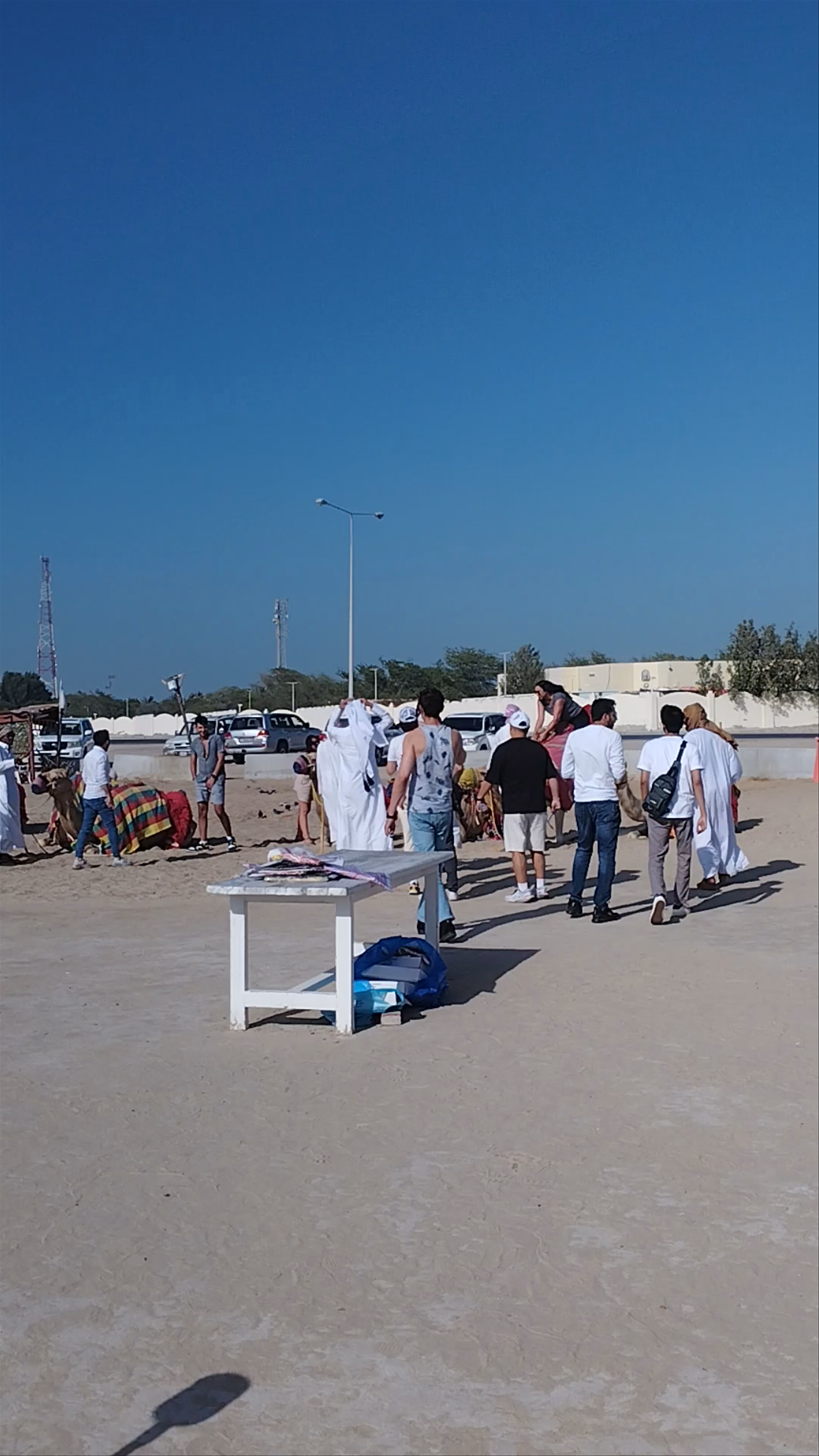 Desert safari doha qatar