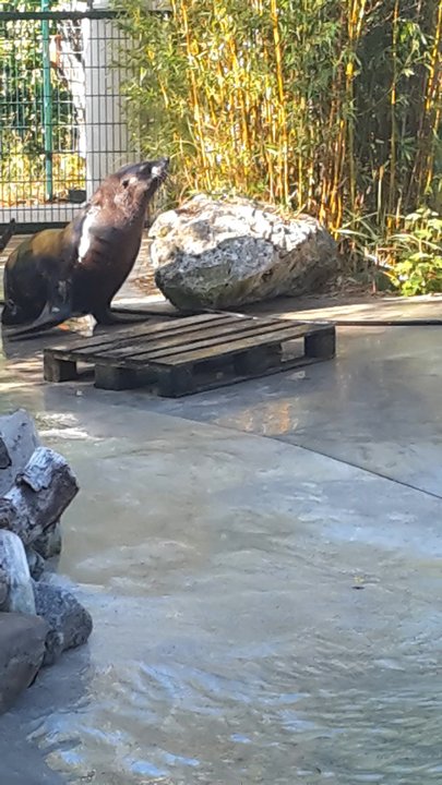 Zoo Augsburg - Zoos Near Me - Augsburg, BY