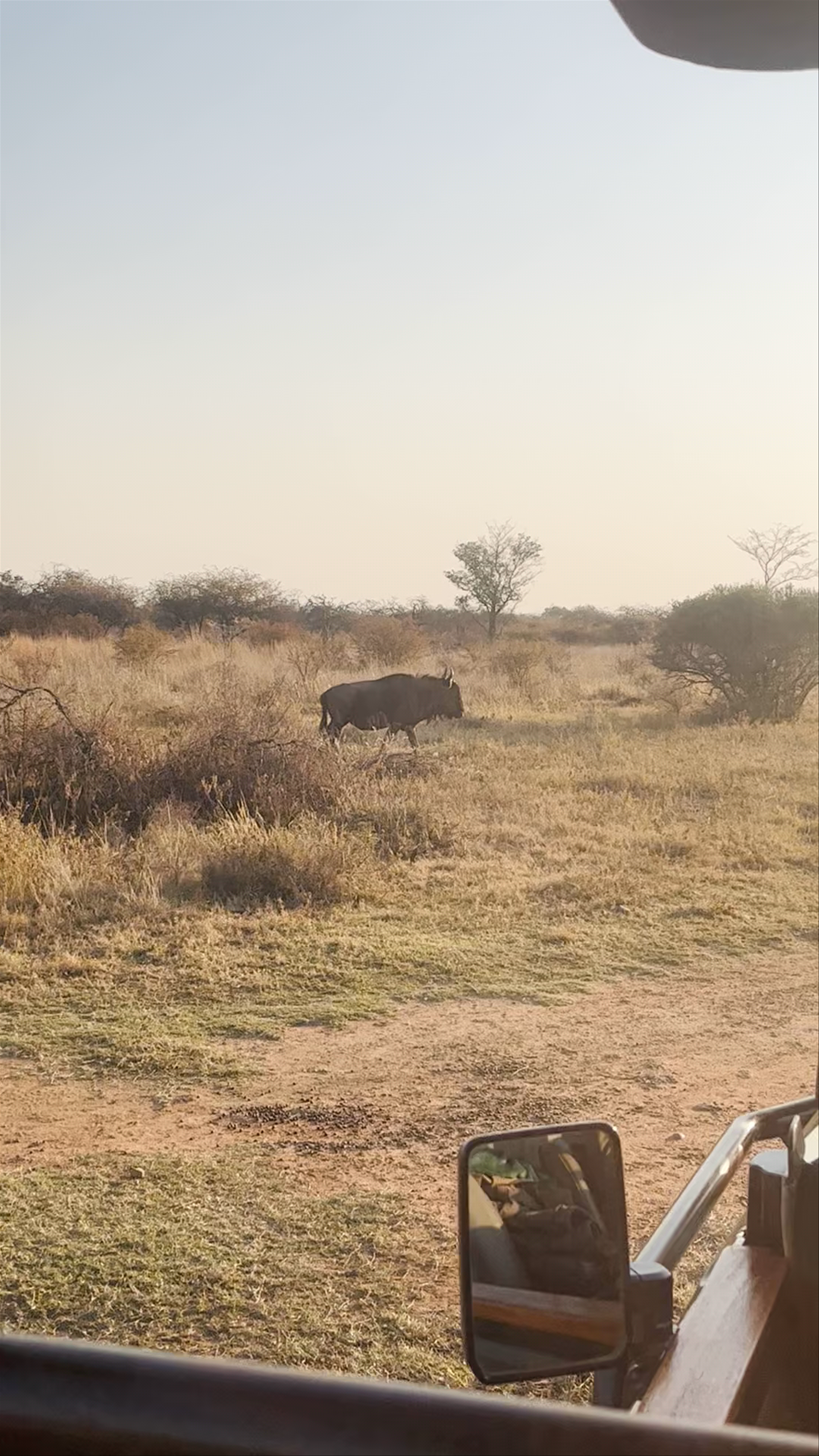 Leopardsong Game Lodge