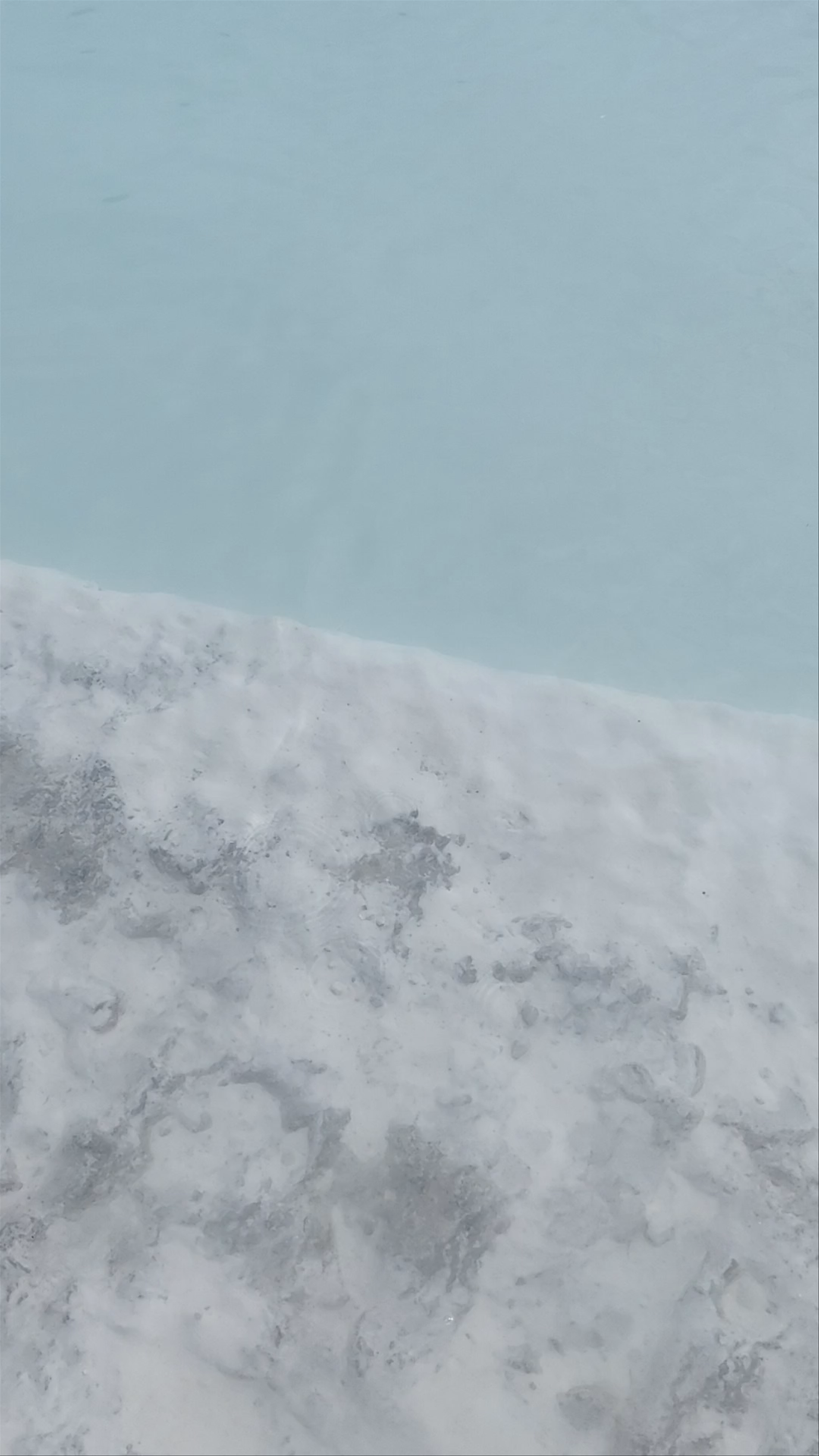 Pamukkale Travertenleri