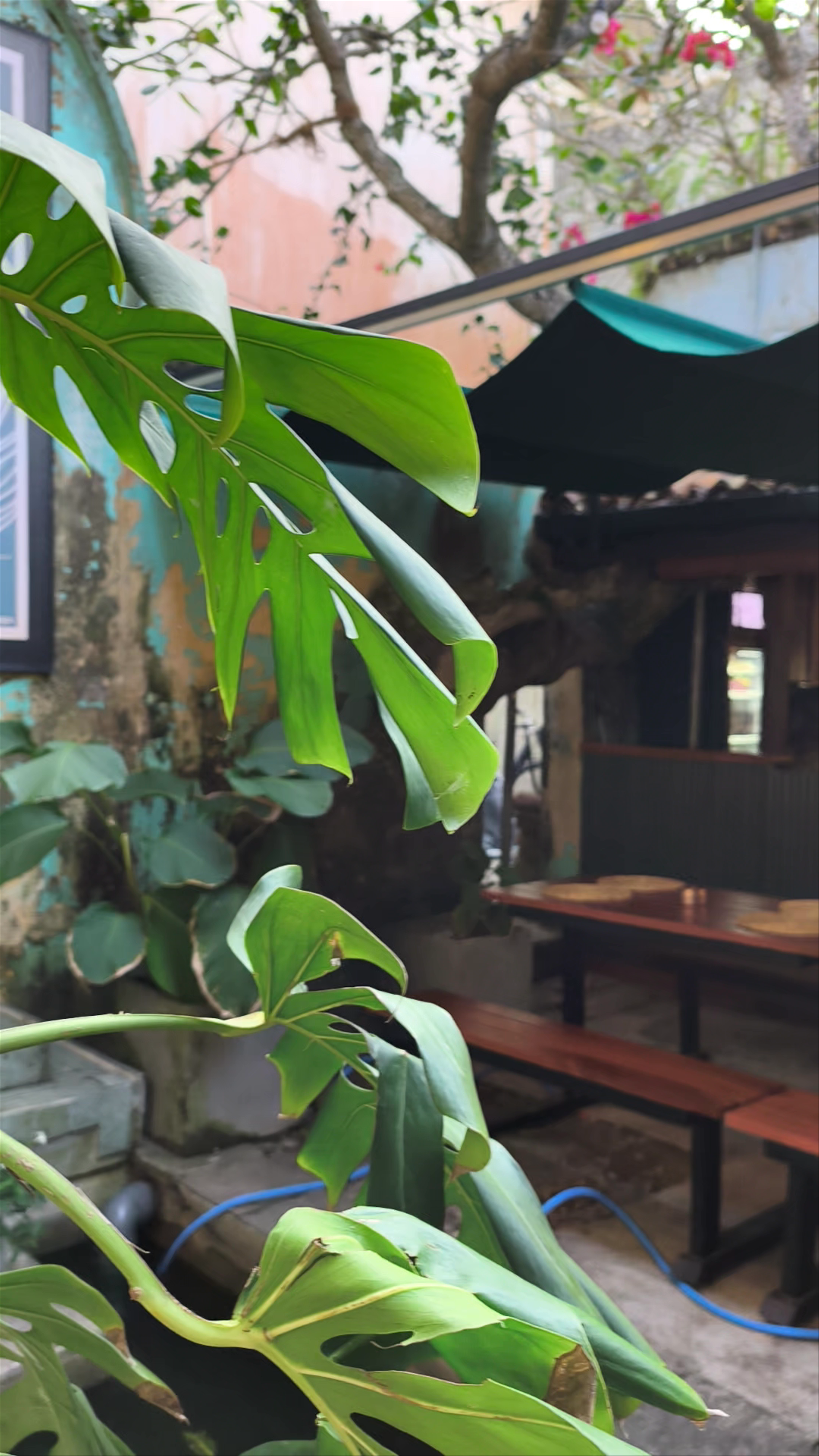 Coffee Brunch Galle Fort