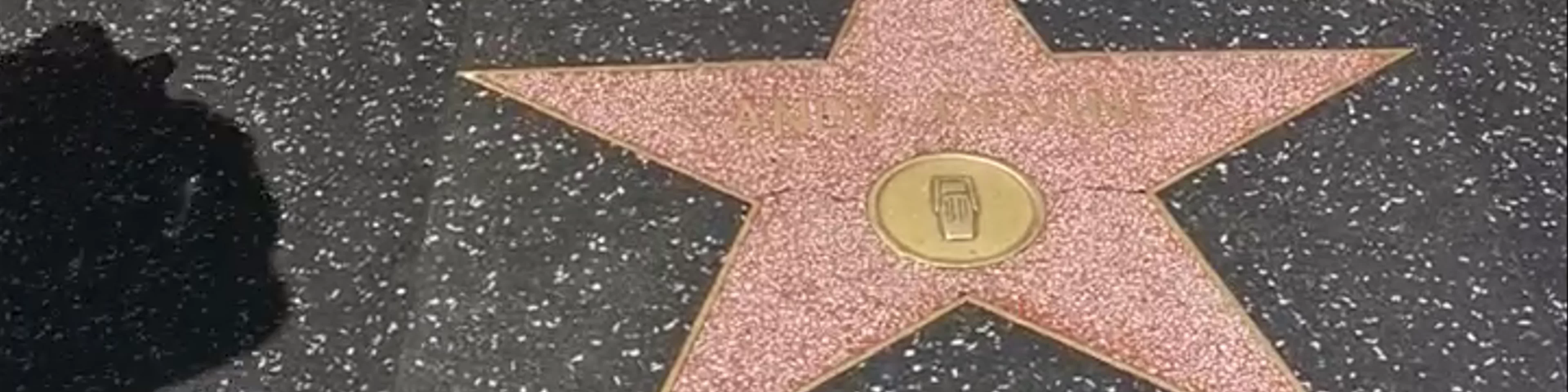 Hollywood Walk of Fame
