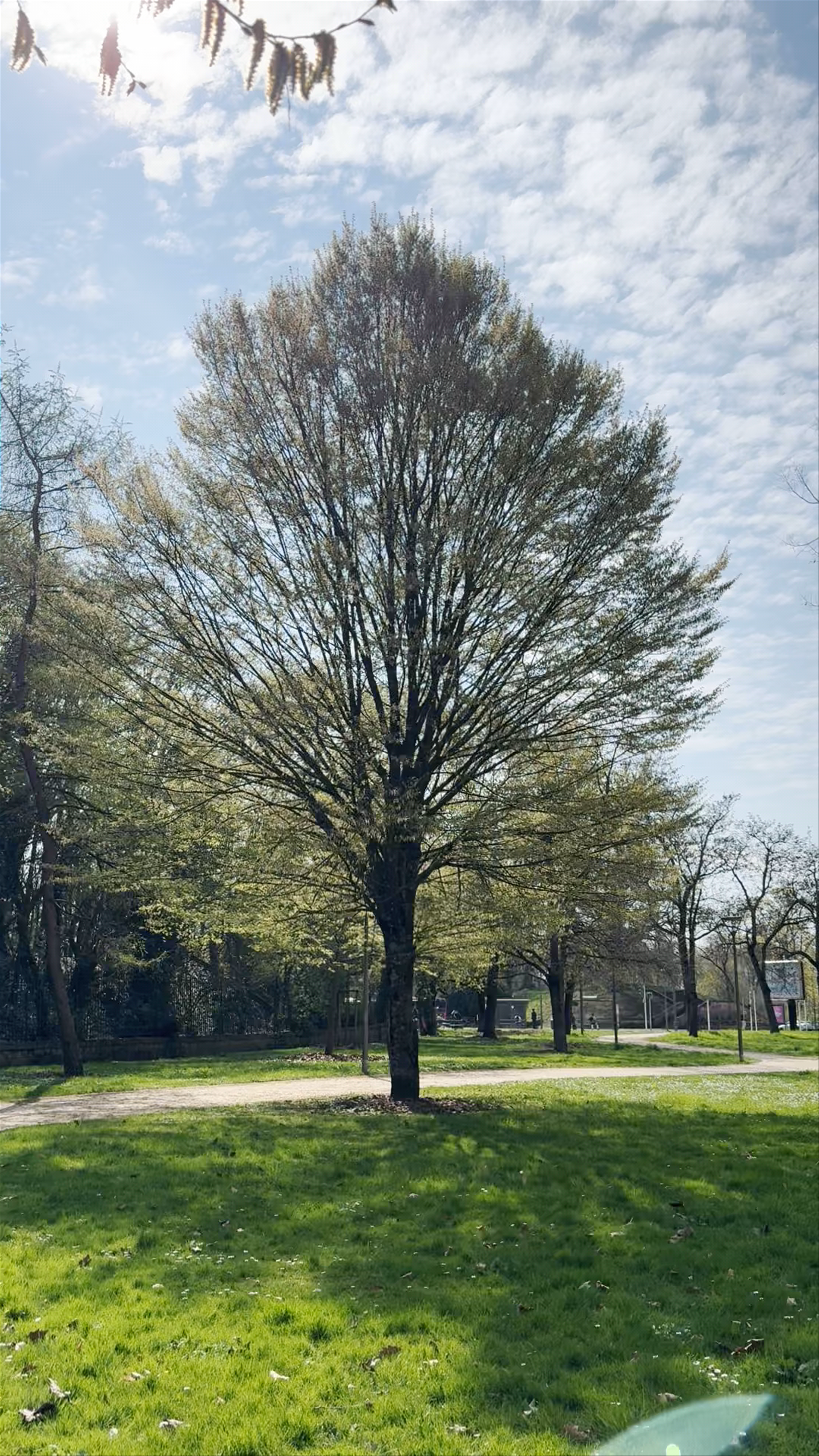 Aire de Jeux Square du Luxembourg