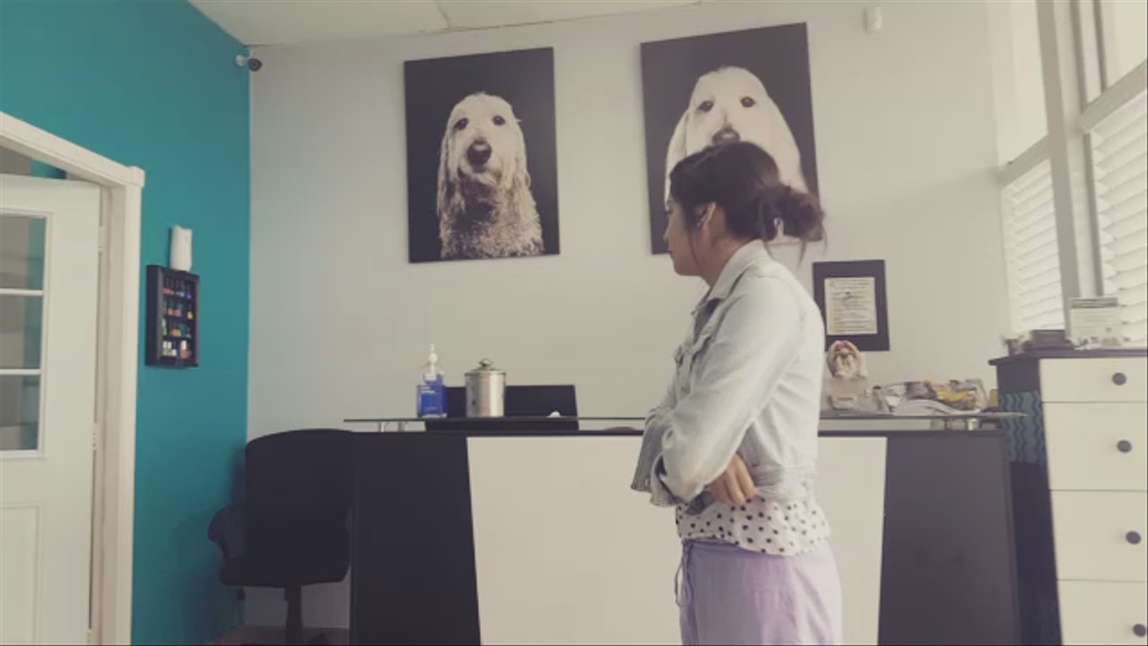 The Tailored Tail Pet Salon - Waiting for my pup, Alfalfa. And then we reunite with a bandana around his neck. So cute - Pet Groomers Near Me - Bellaire, Texas