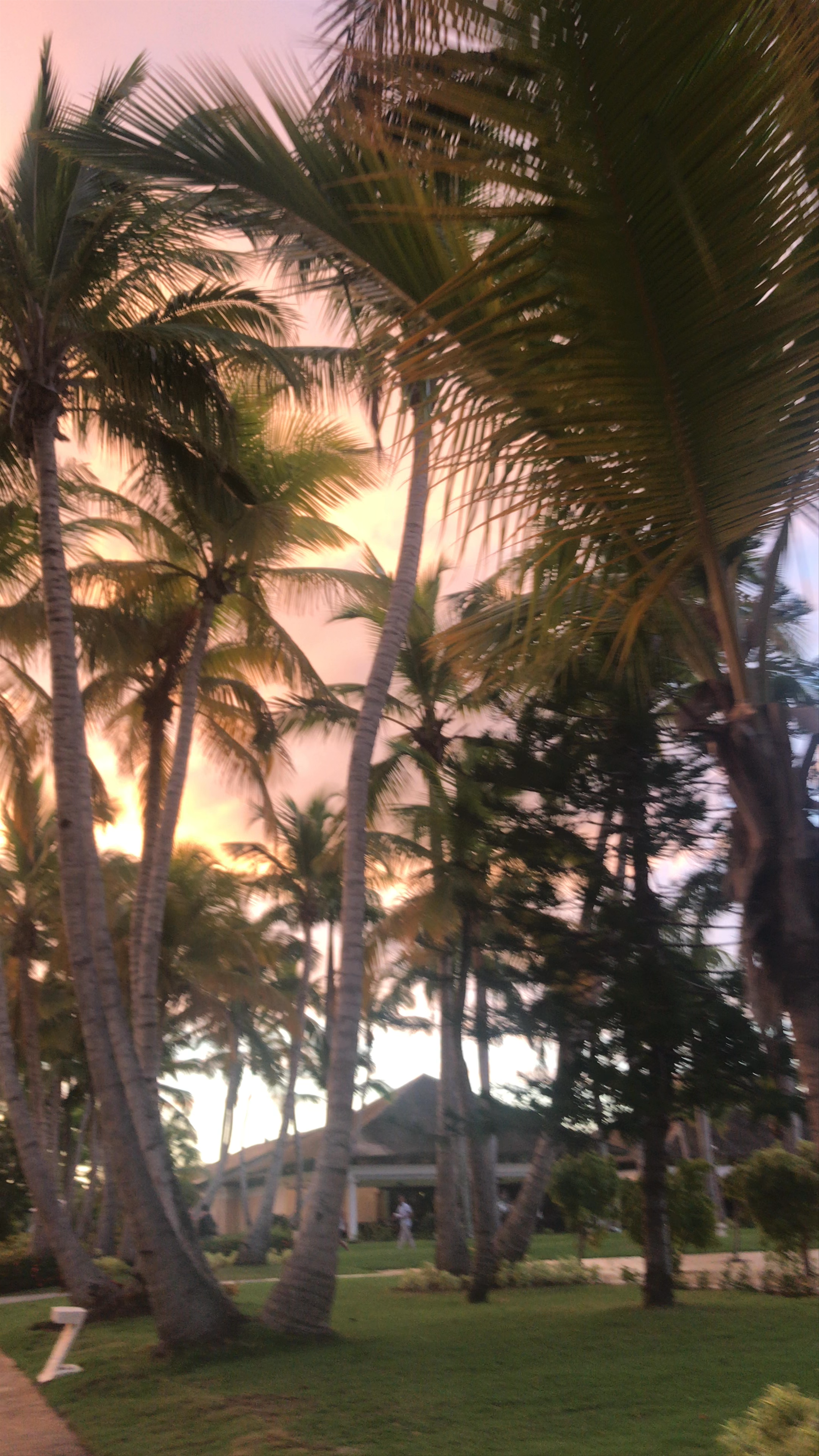 Catalonia Bavaro Beach Resort Casino et Golf