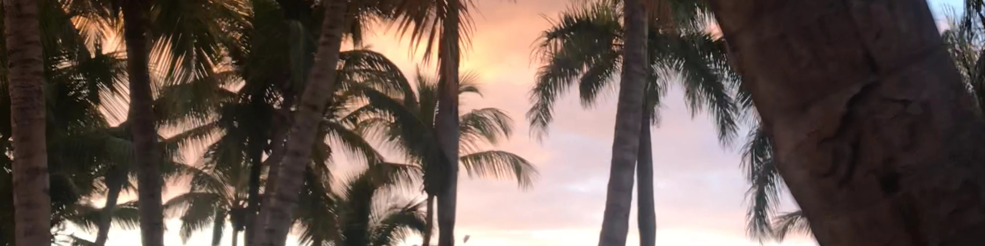 Catalonia Bavaro Beach Resort Casino et Golf