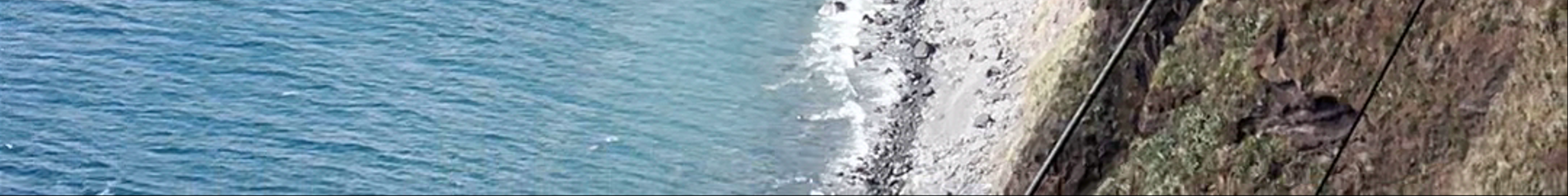 Tours & experiences in Funchal