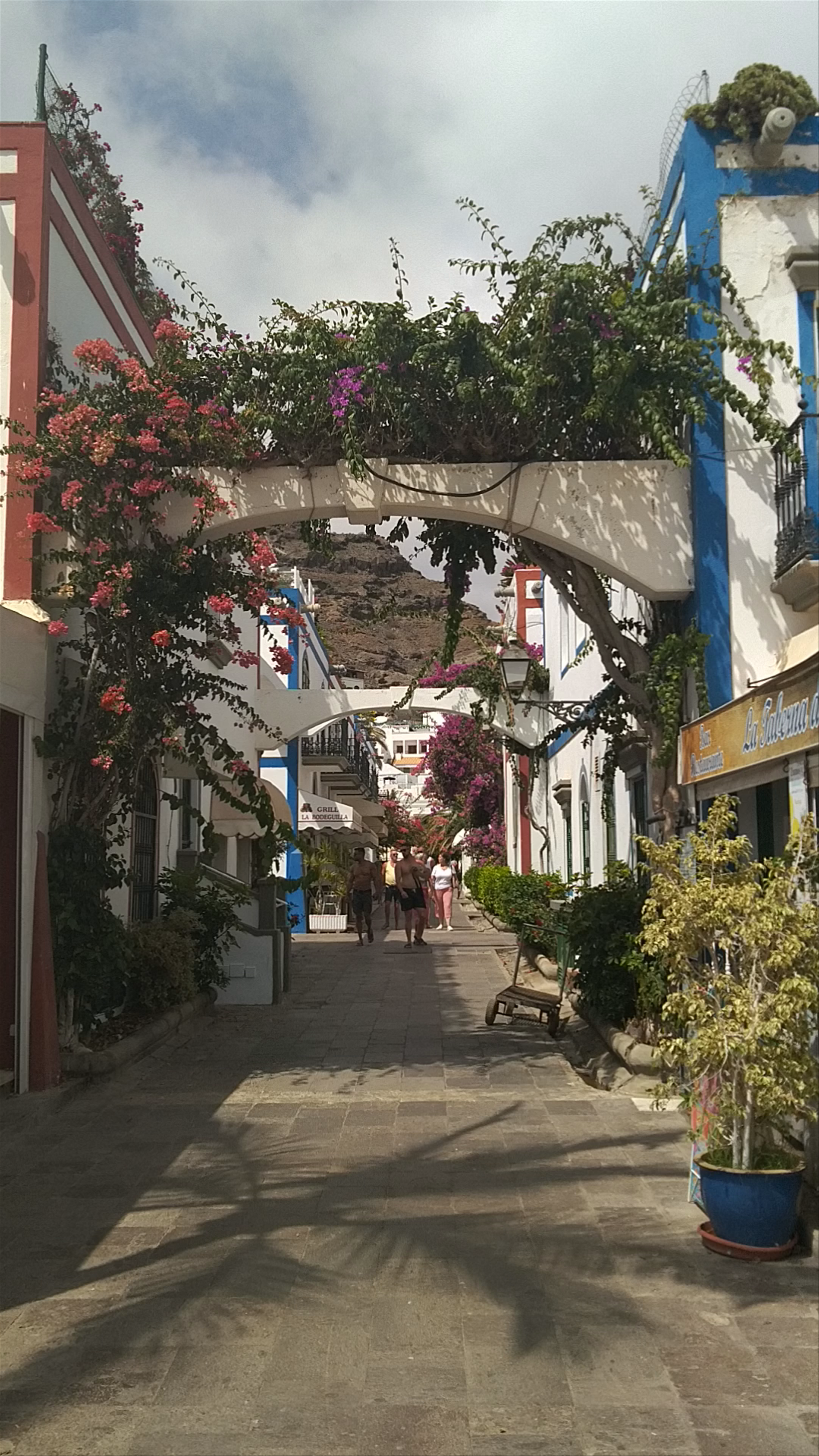 Strolling Through Taberna del Puerto in Lomo Quiebre, Gran Canaria