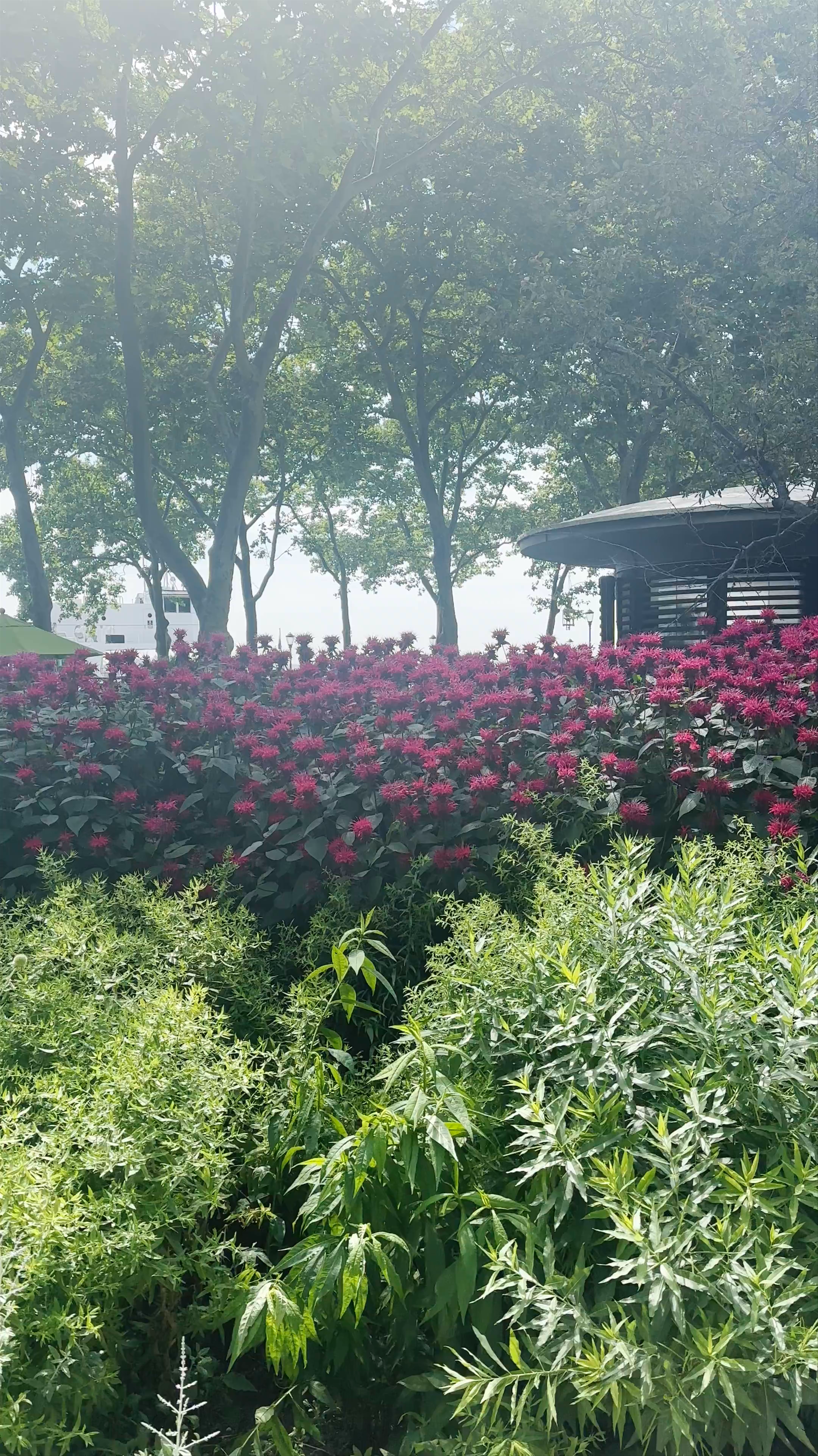 Battery Park