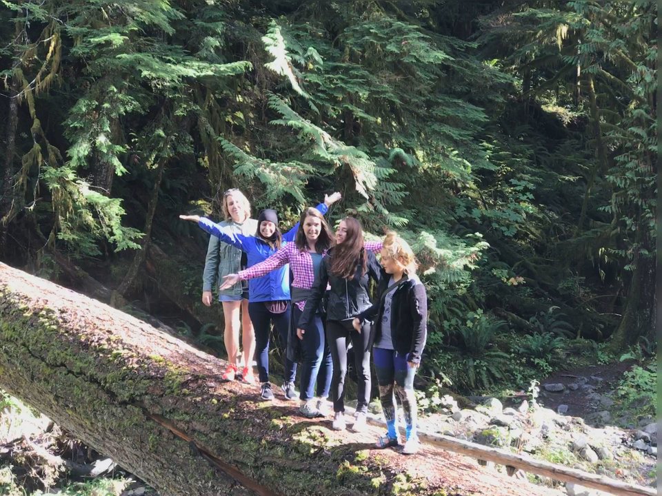 Olympic National Forest - Parks Near Me - Olympia, Washington