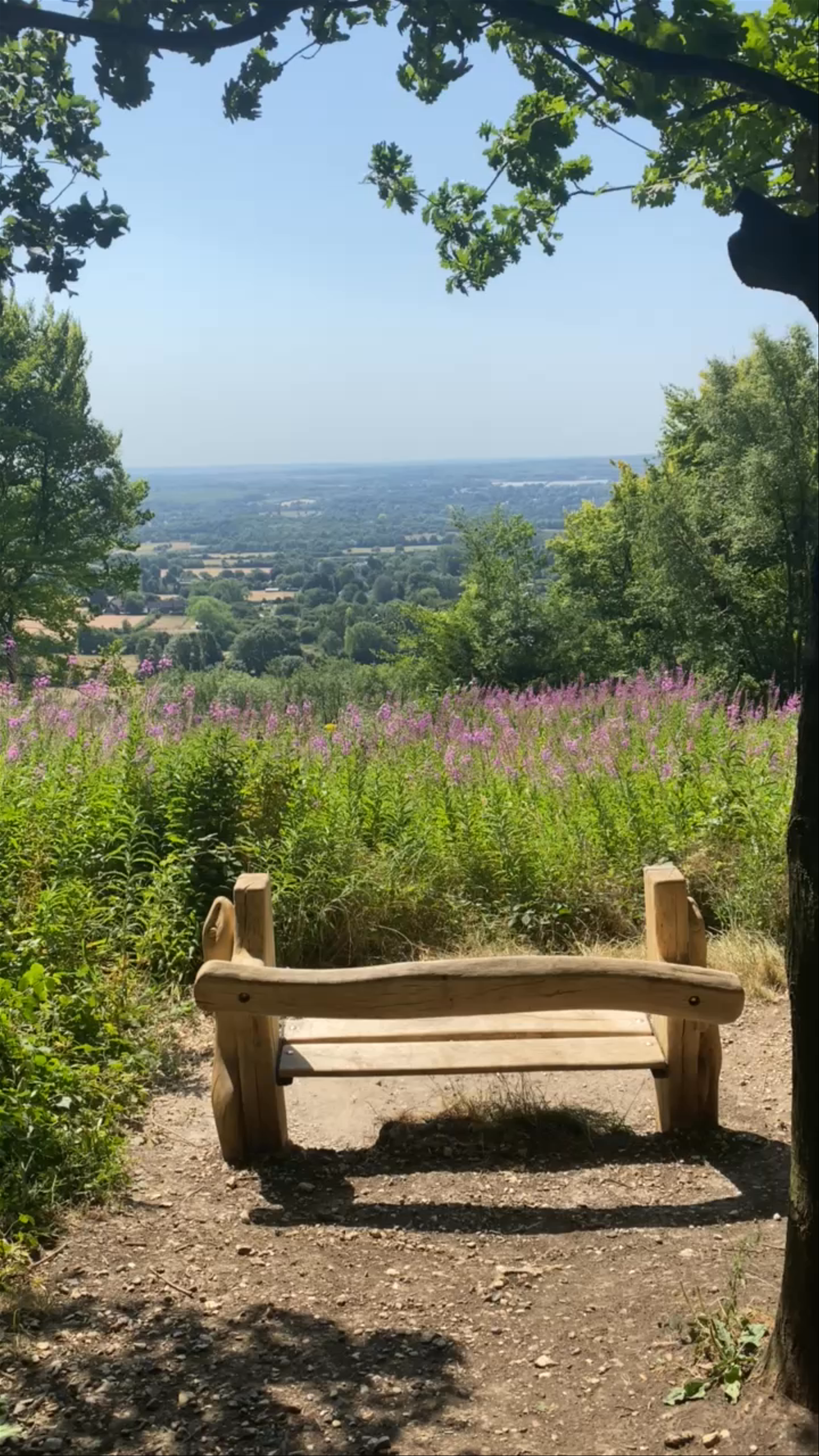 Trosley Country Park