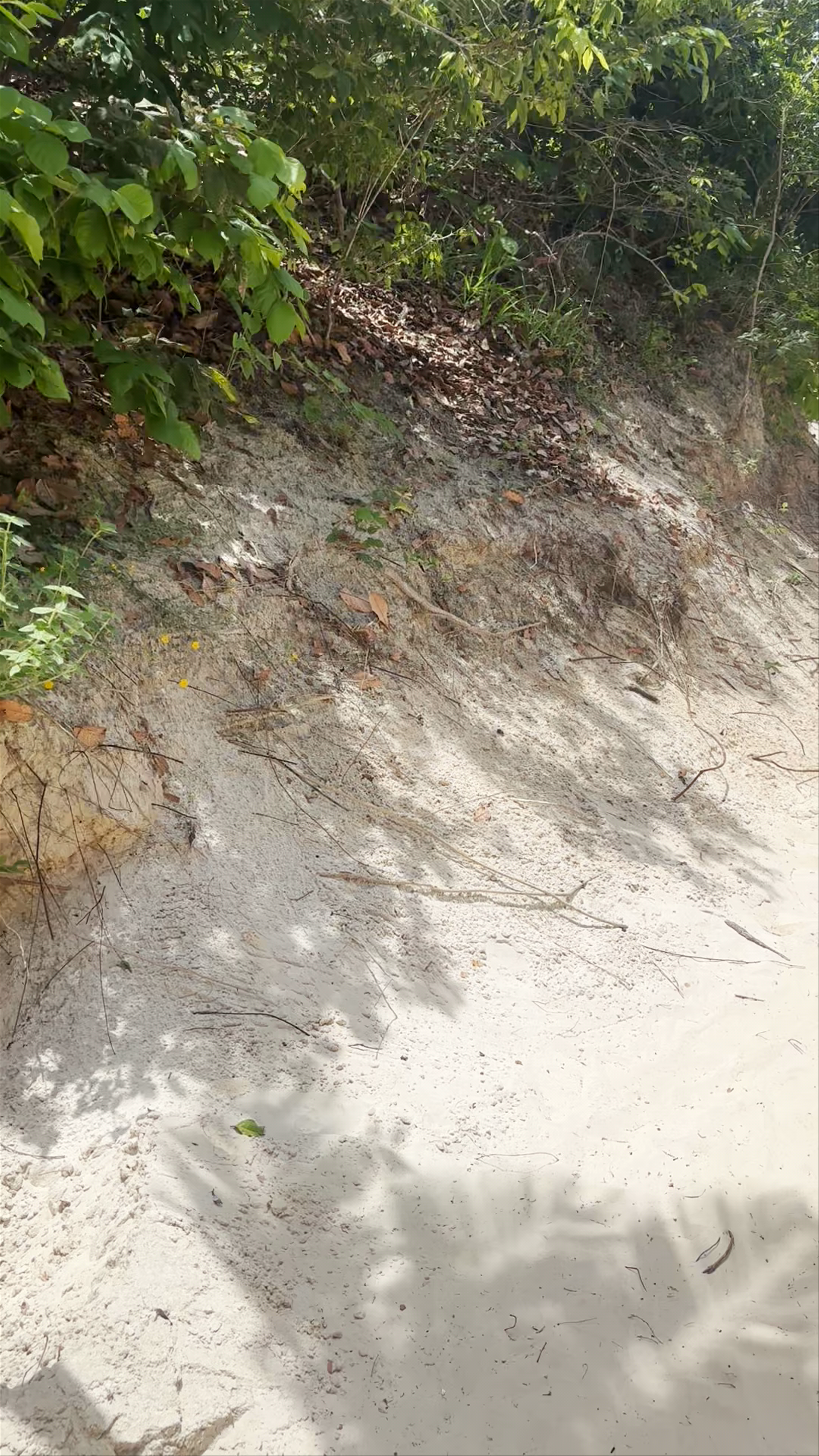 Caraúba Beach - Rua Pedro Francisco Dutra - dos Lulas