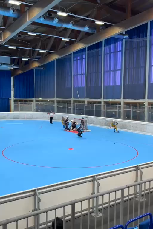 Max Phillips Scores Winning Goal at Palmer Cup - U12 Highlights