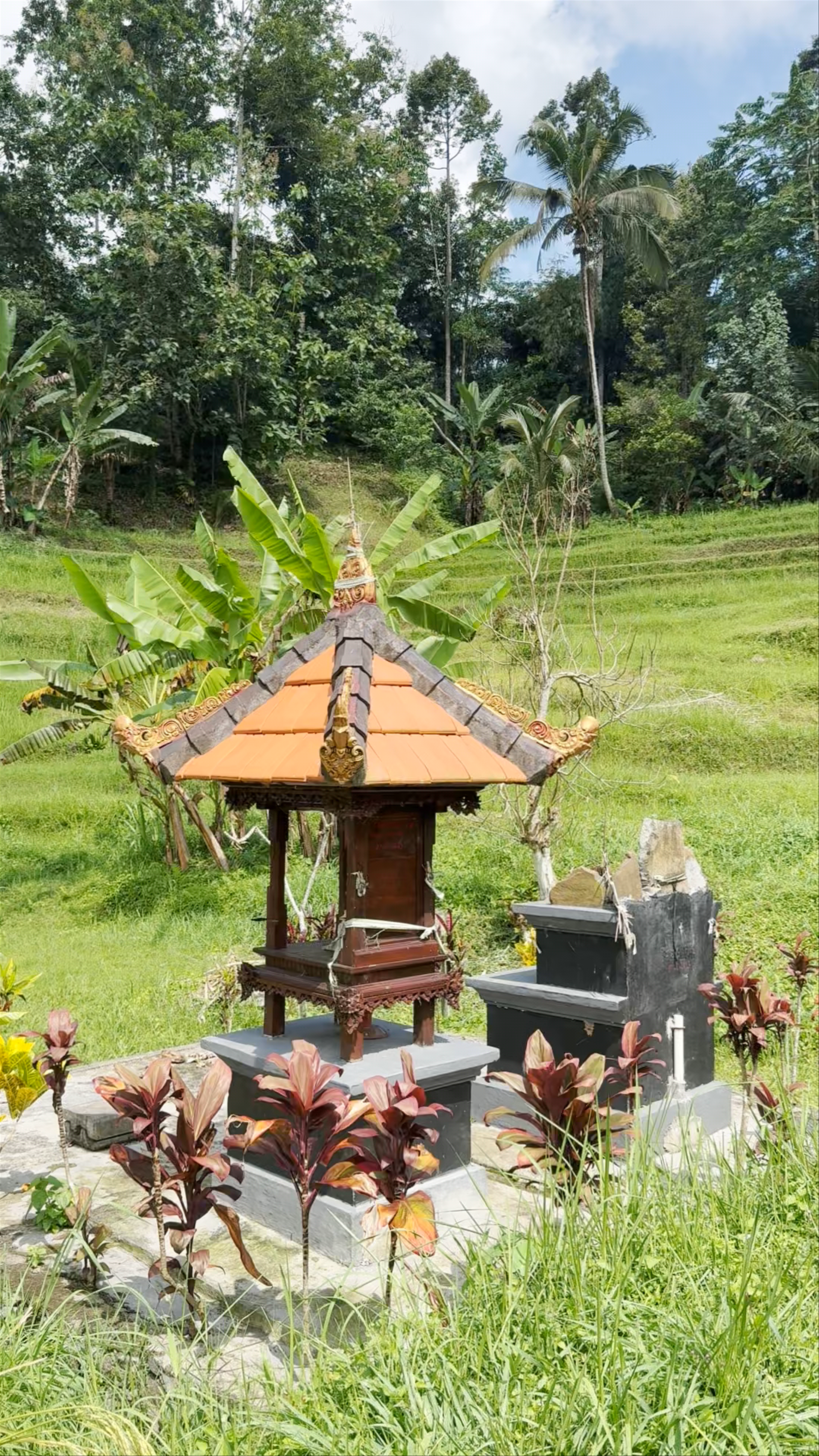 Jatiluwih Rice Terraces