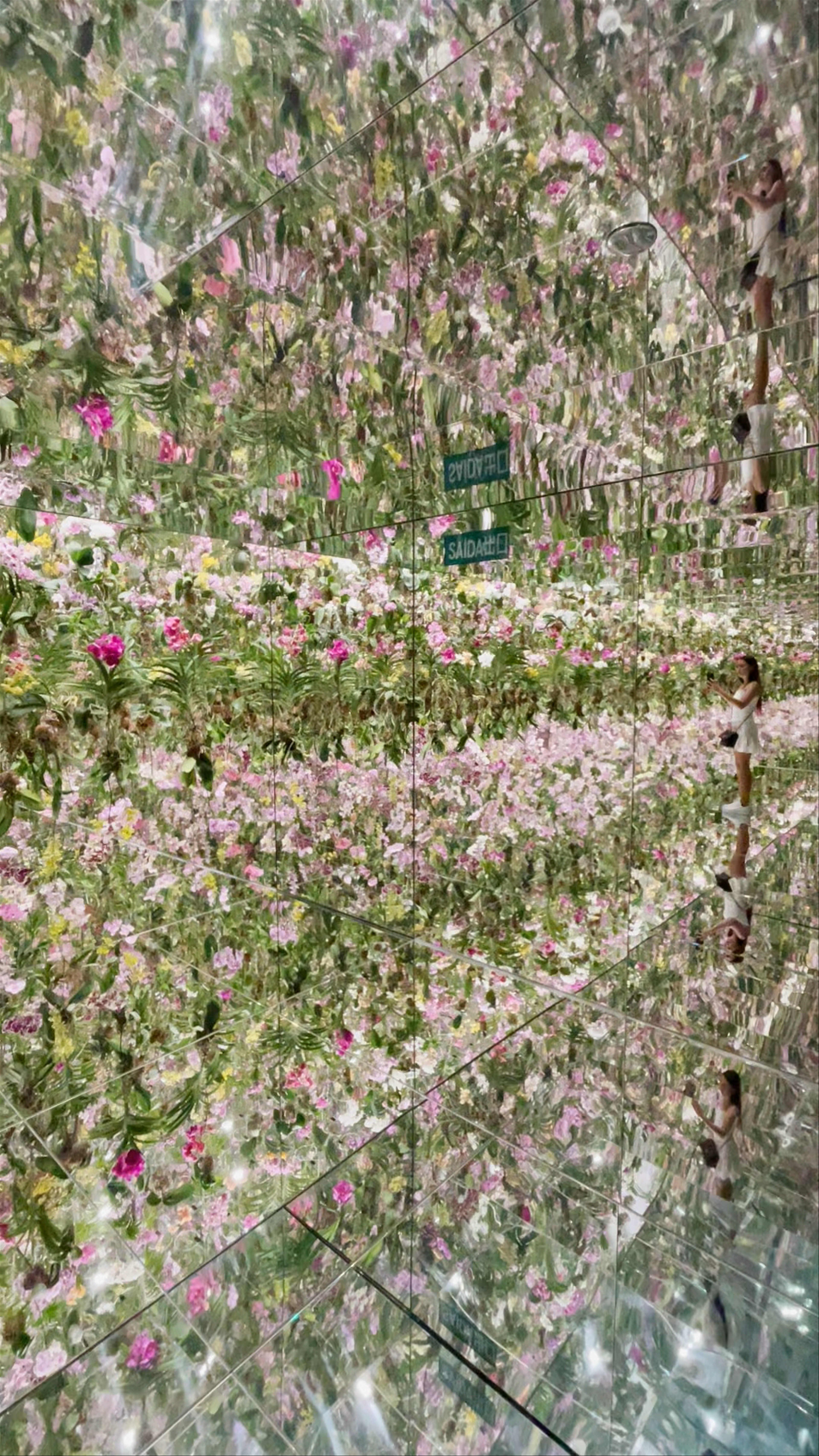 teamLab SuperNature Macao: Immersive Floral Mirror Experience