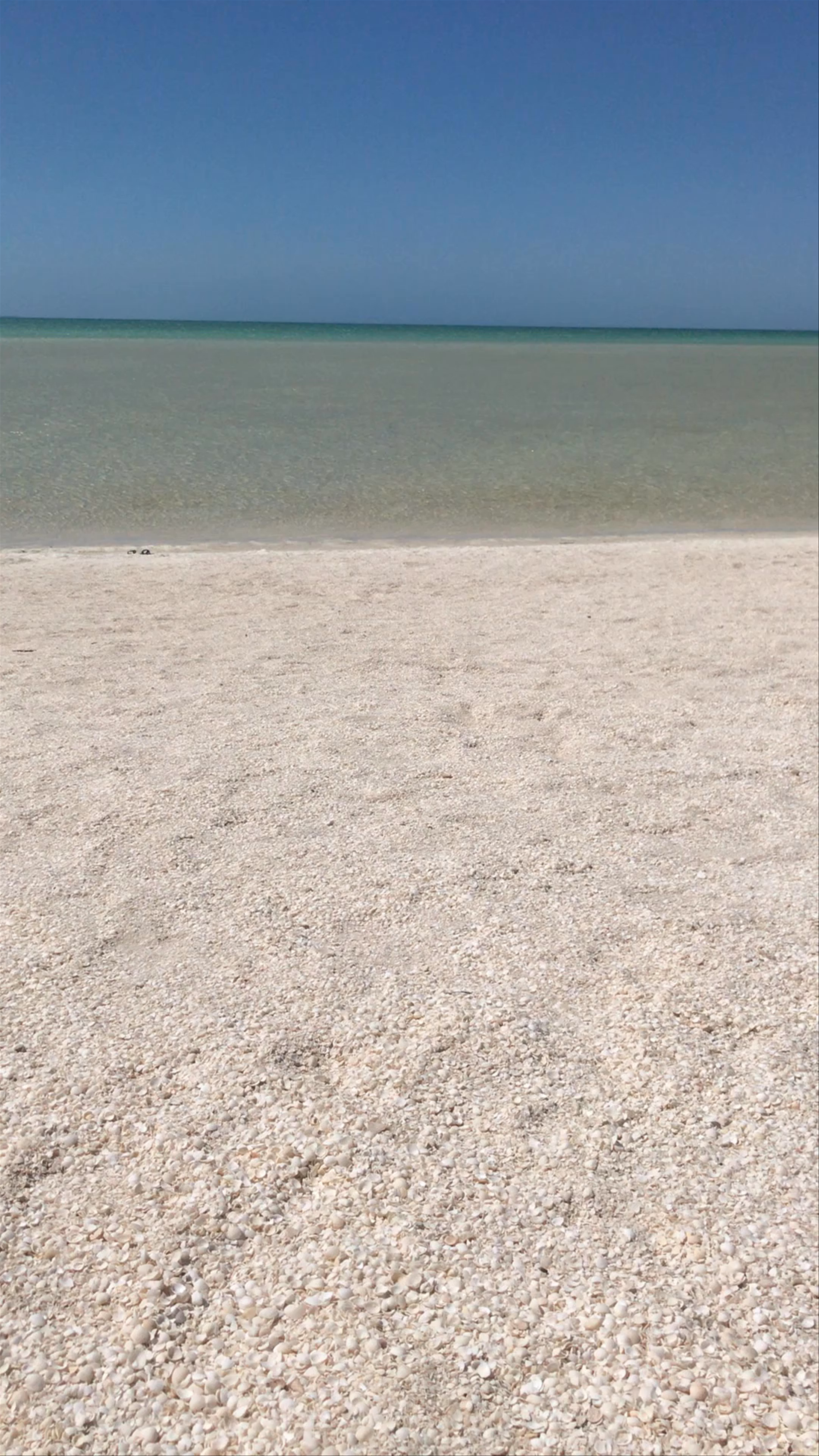 Shell Beach: A Pristine Shell-Strewn Shoreline in Francois Peron National Park