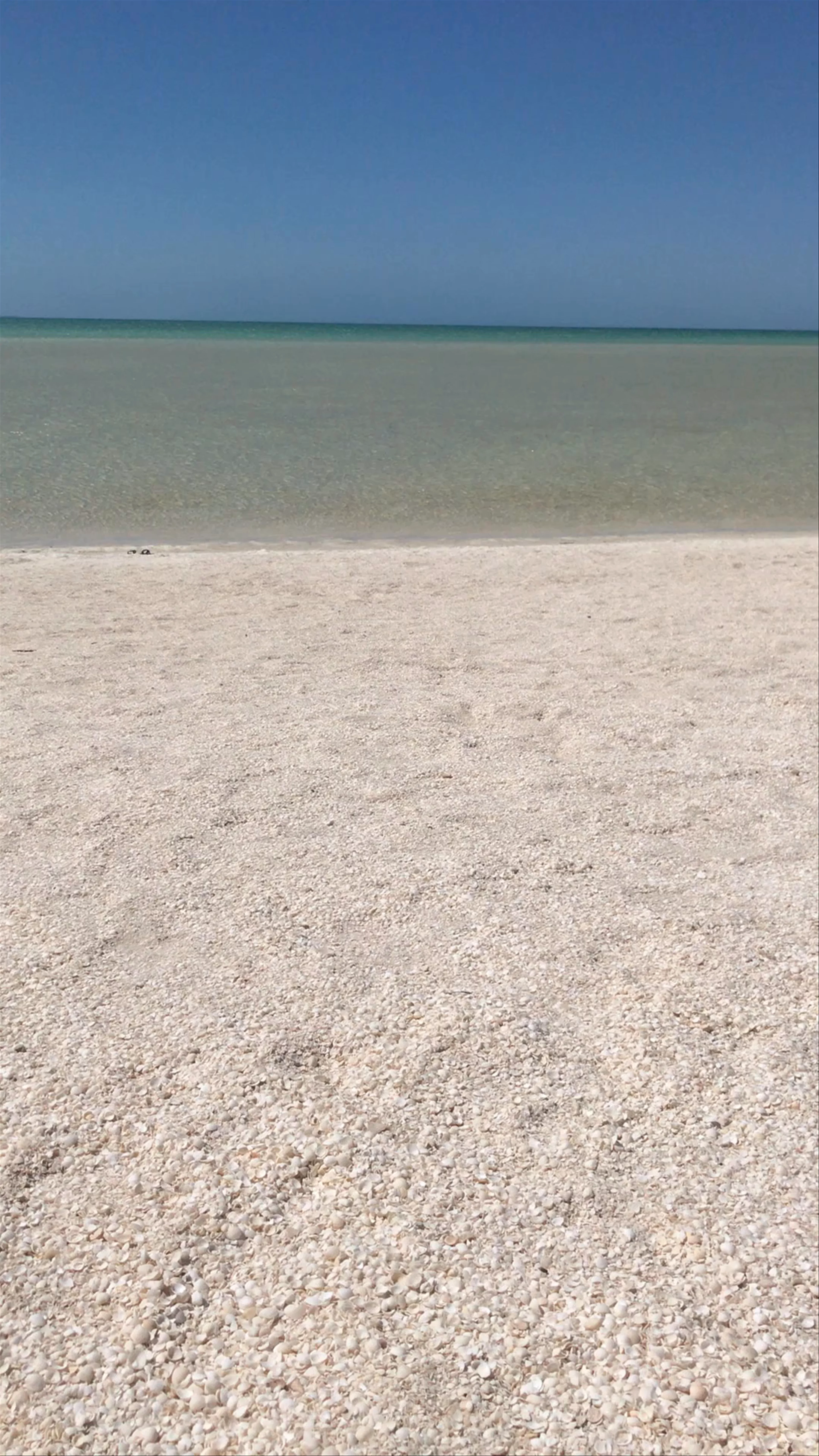 Shell Beach, Francois Peron National Park