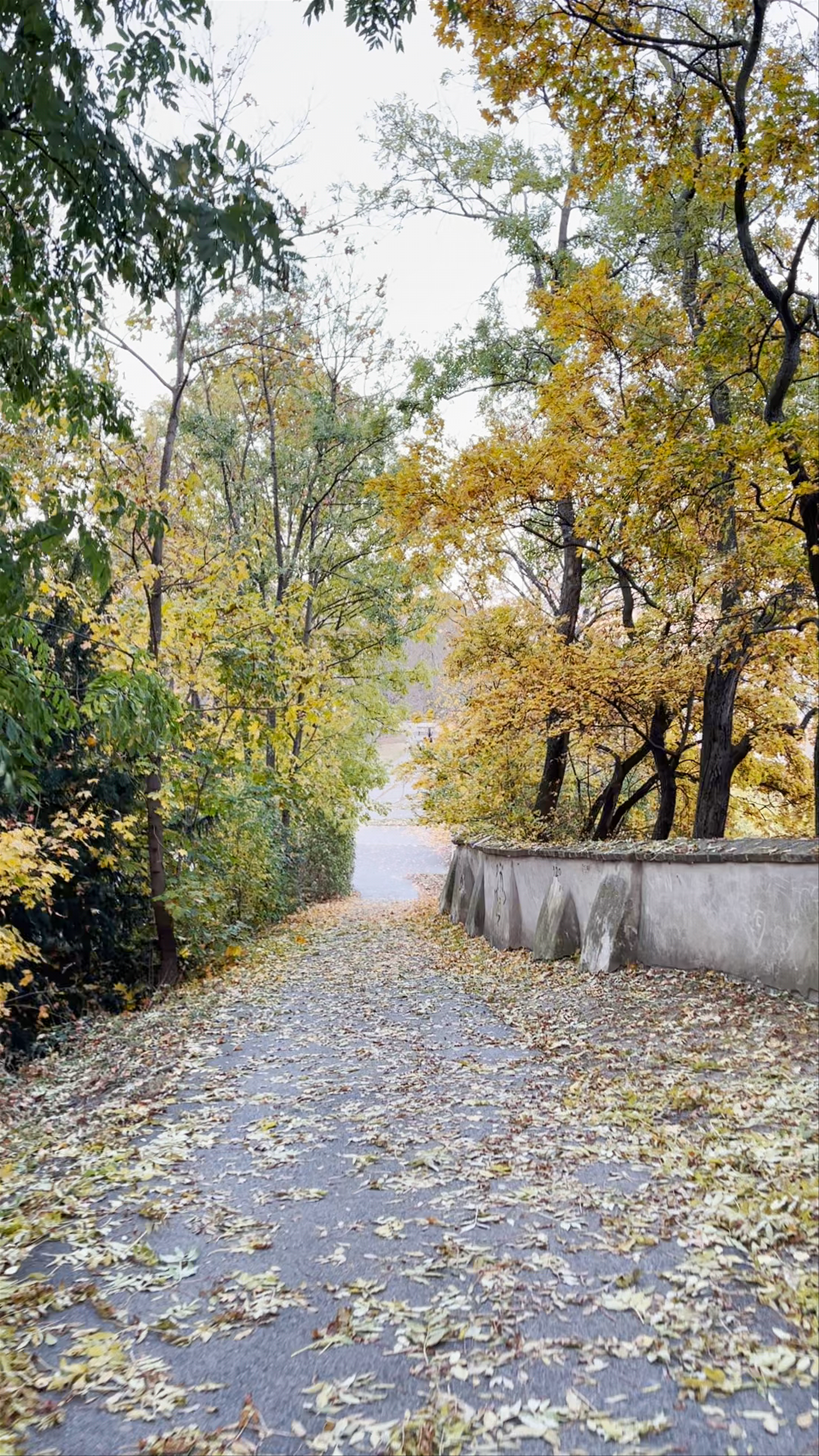 Autumn Stroll at Petrin Hill, Prague