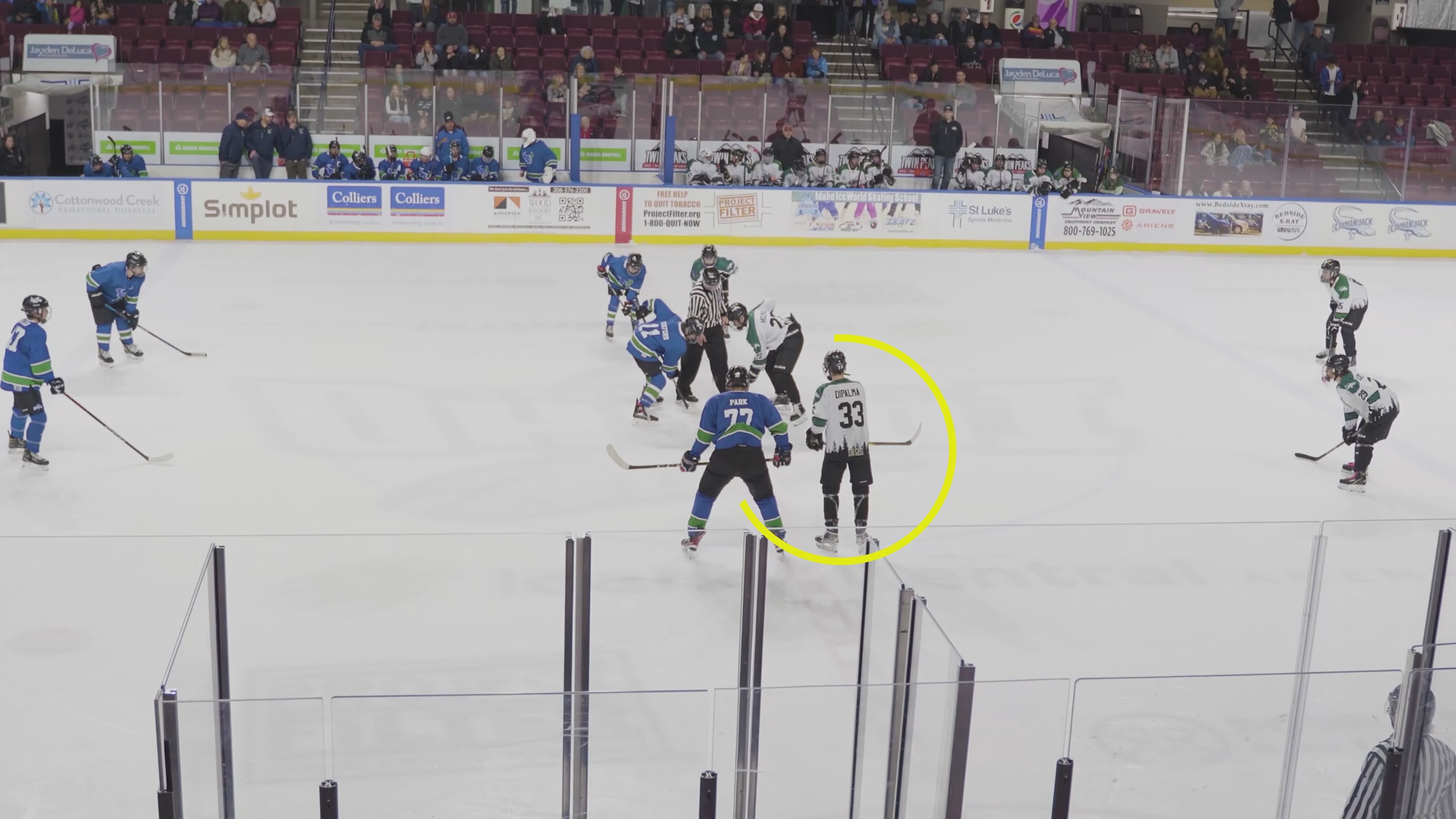 Matthew DiPalma: Highlight Reel of a Rising Star from Eagle Rocky Mountain HS