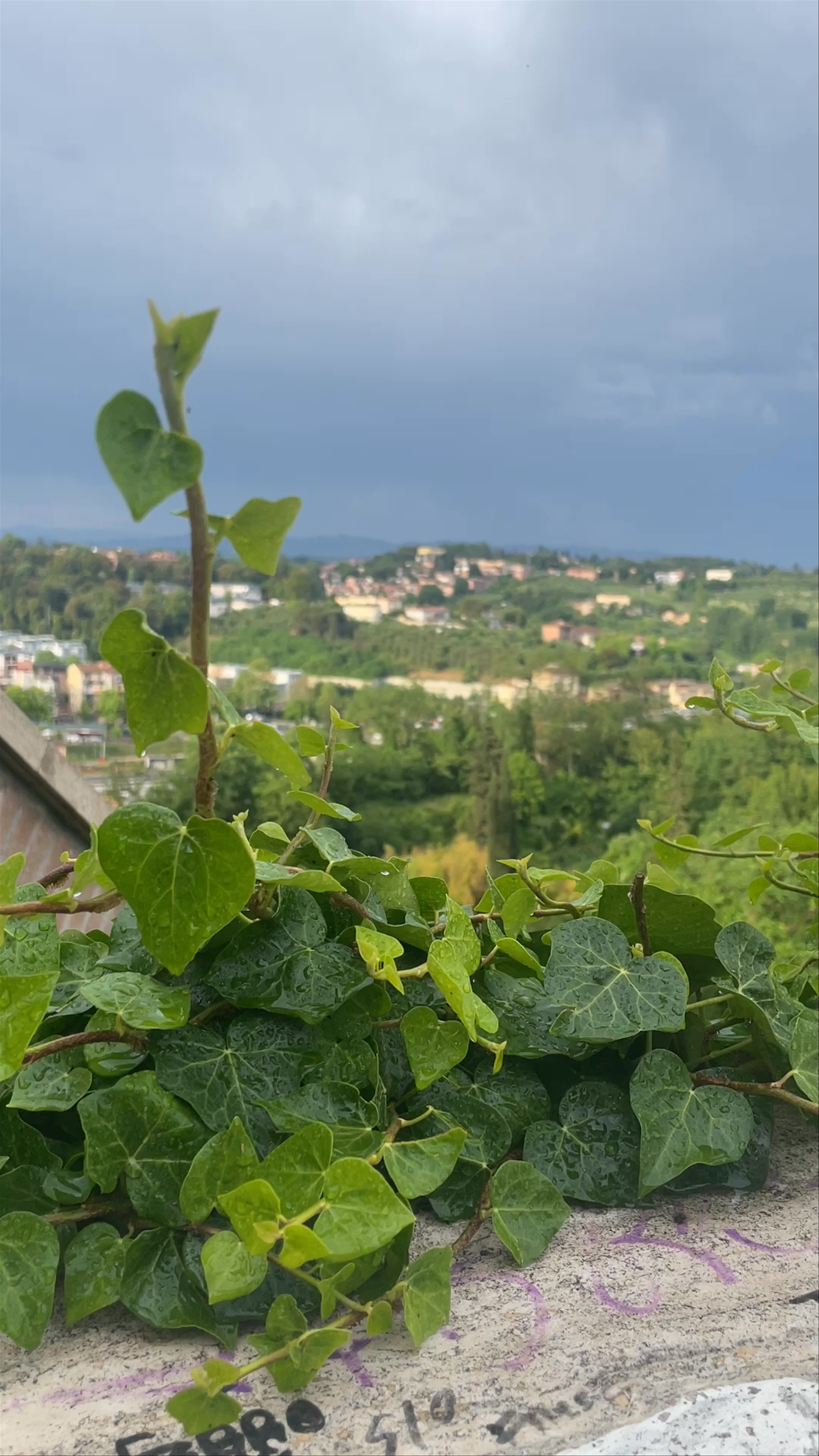 Stormy Skies over Lush Hills of Siena, Tuscany