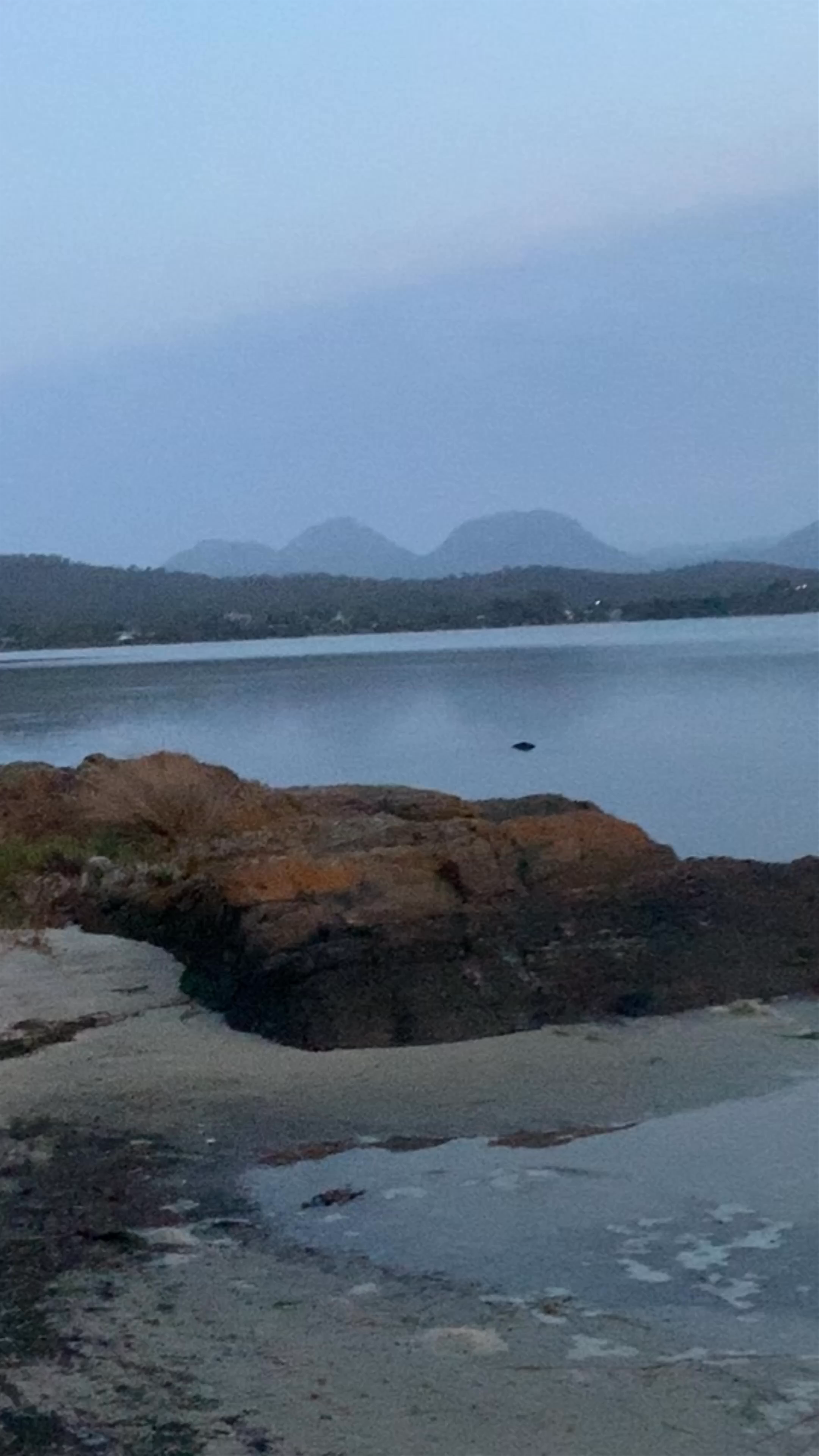 Moulting Lagoon: Serene Tasmanian Coastal Escape