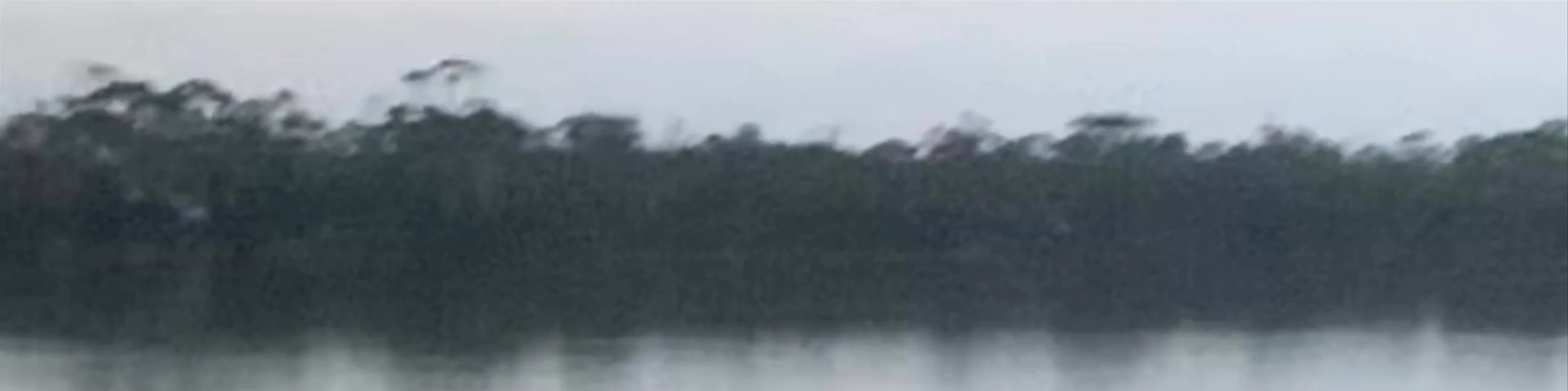 Moulting Lagoon