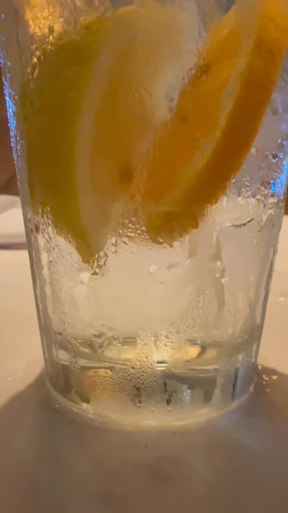 Antico Posto - Lemon and orange infused water with a pricey $18.50 dessert glass of Remy Martin VSOP - Italian Near Me - Oak Brook, Illinois