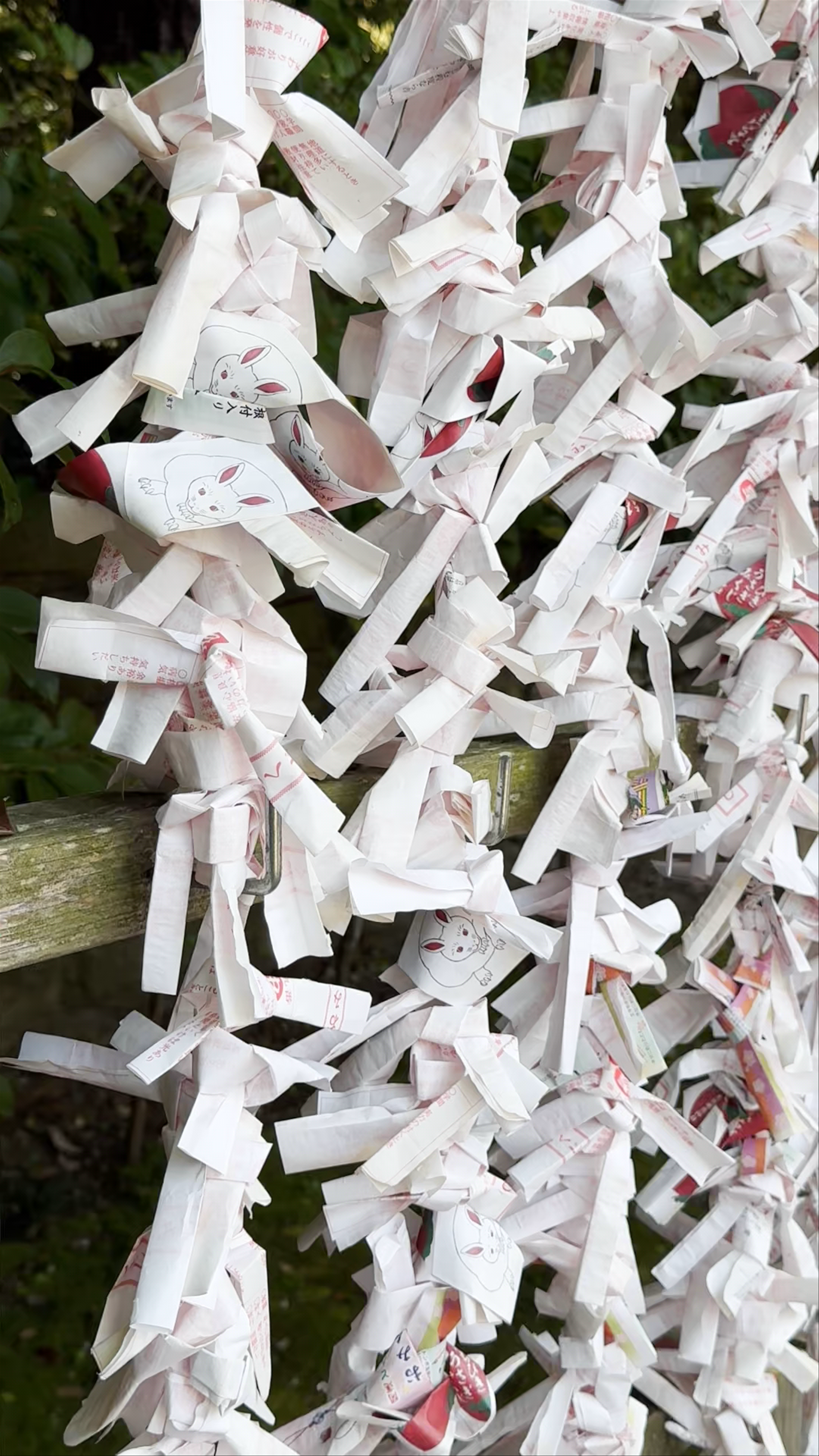 Oarai Isosaki Shrine