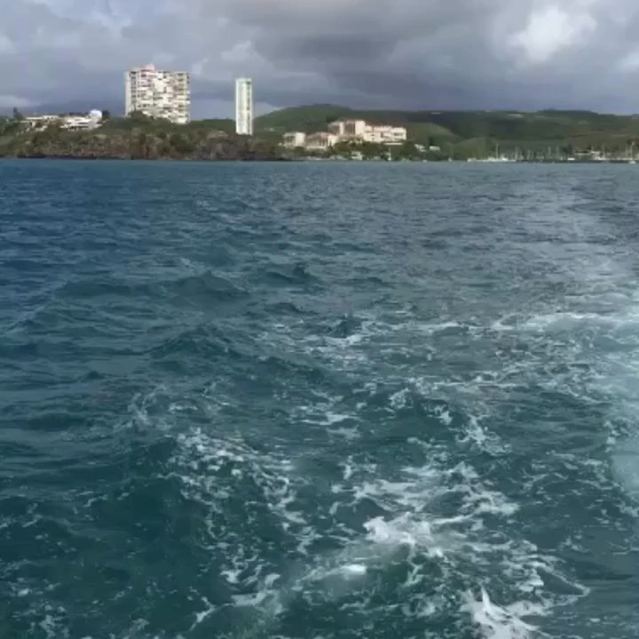 Spread Eagle - Boating Near Me - Playa Sardinera, Puerto Rico