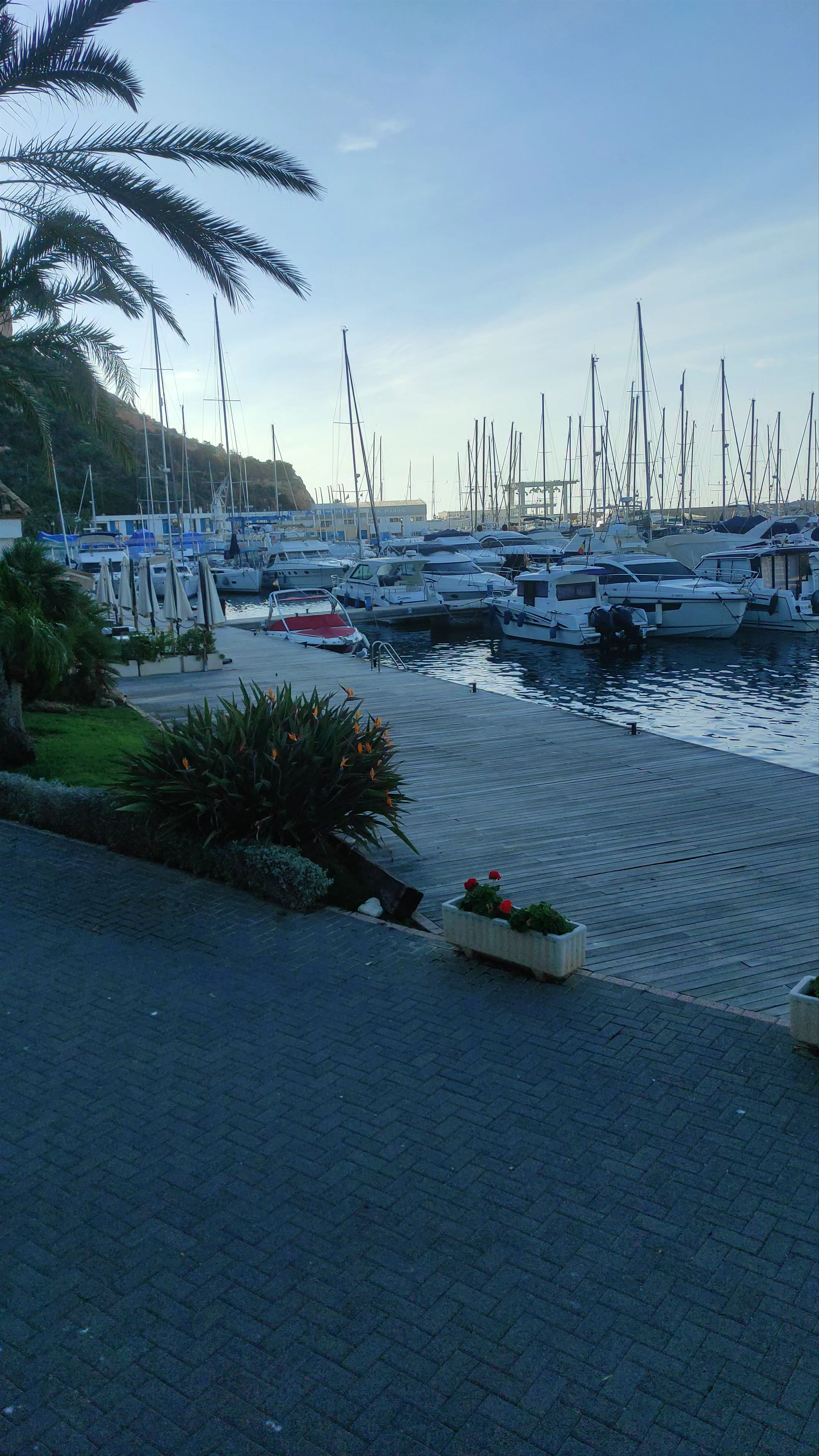Royal Yacht Club Calpe