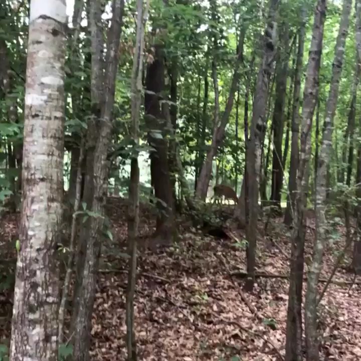 Suwanee Creek Park - Parks Near Me - Suwanee, Georgia