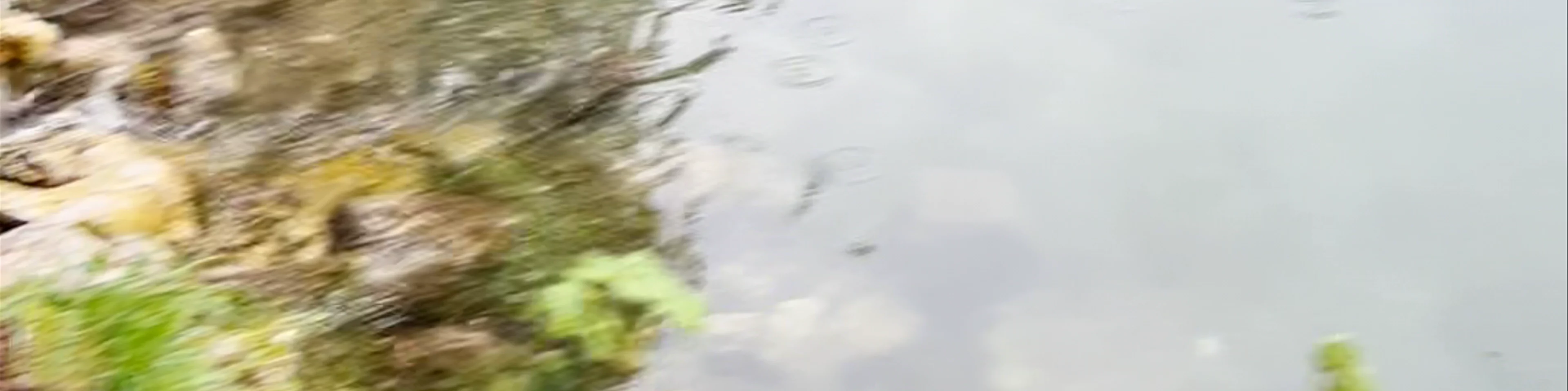 Black Lake