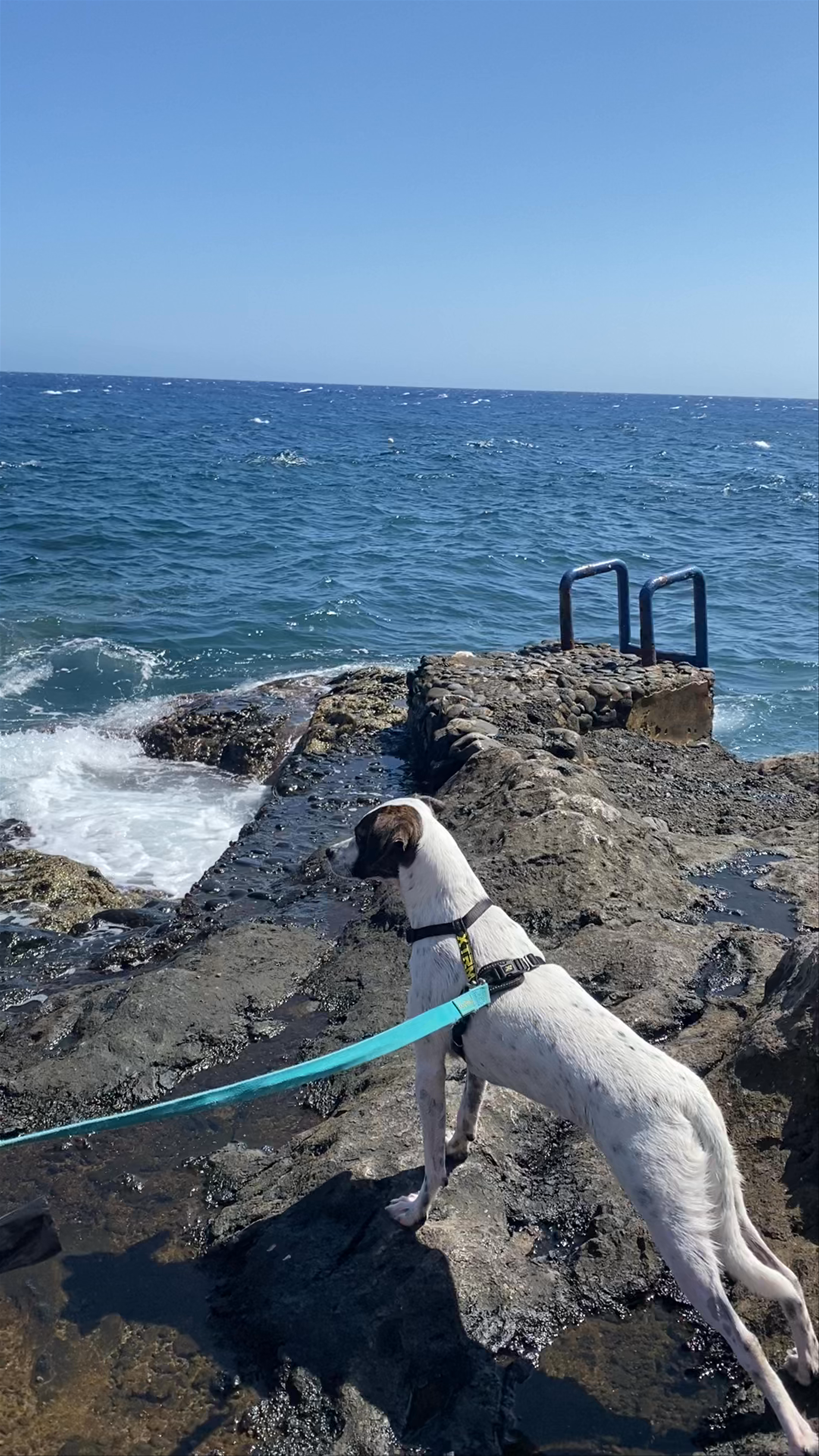 Tenerife