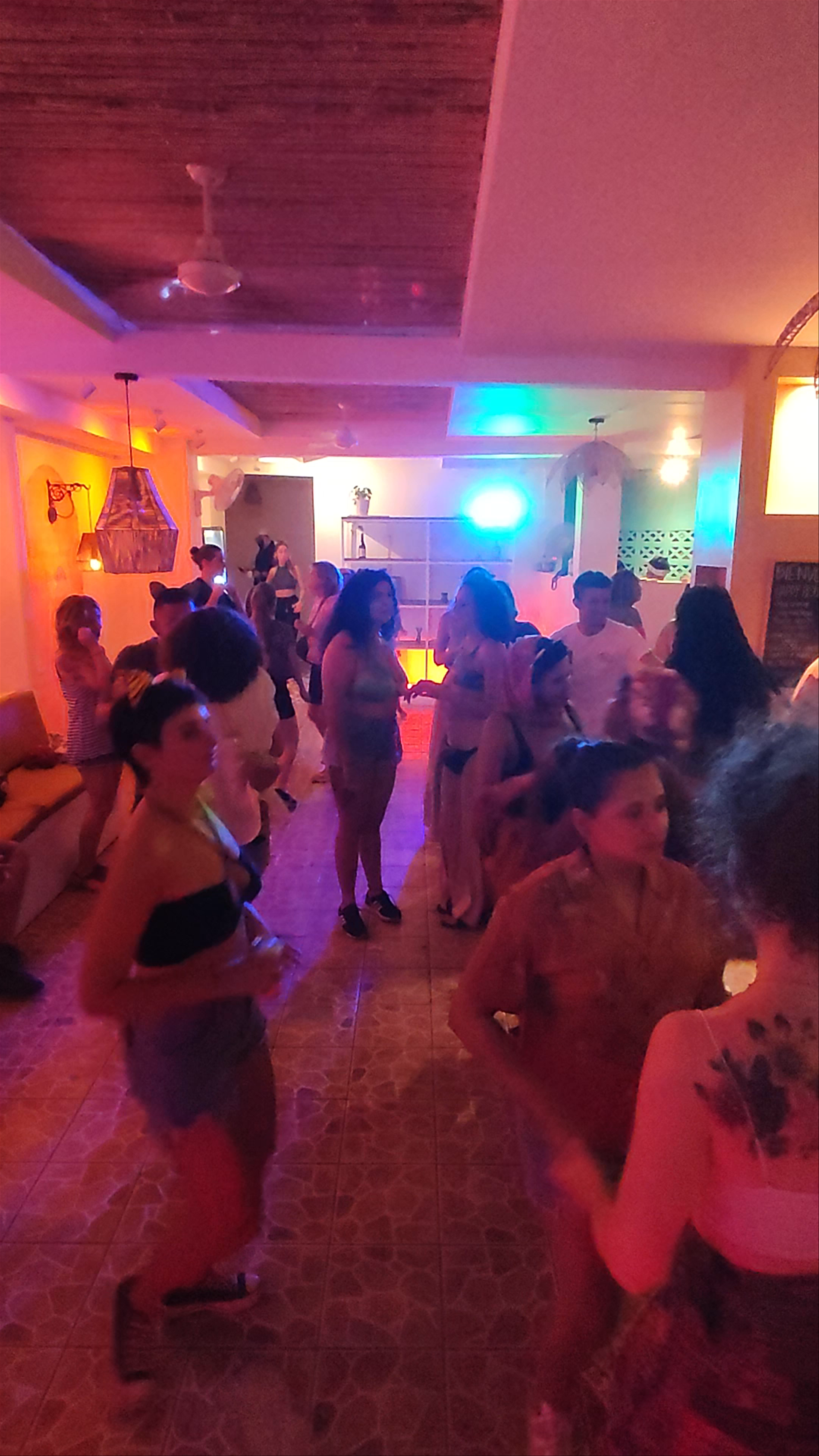 The Kat House natural wine bar