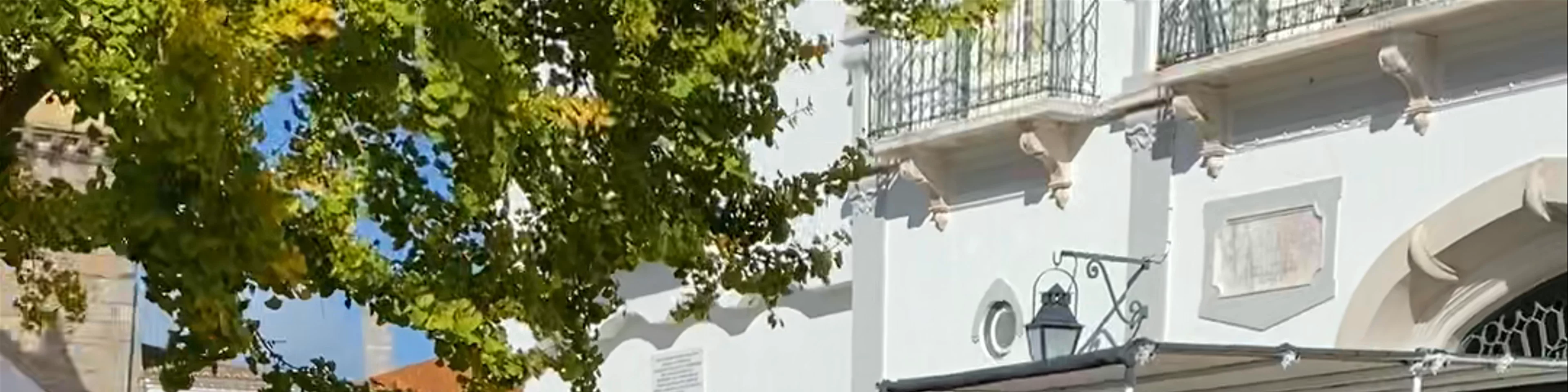 Câmara Municipal de Évora