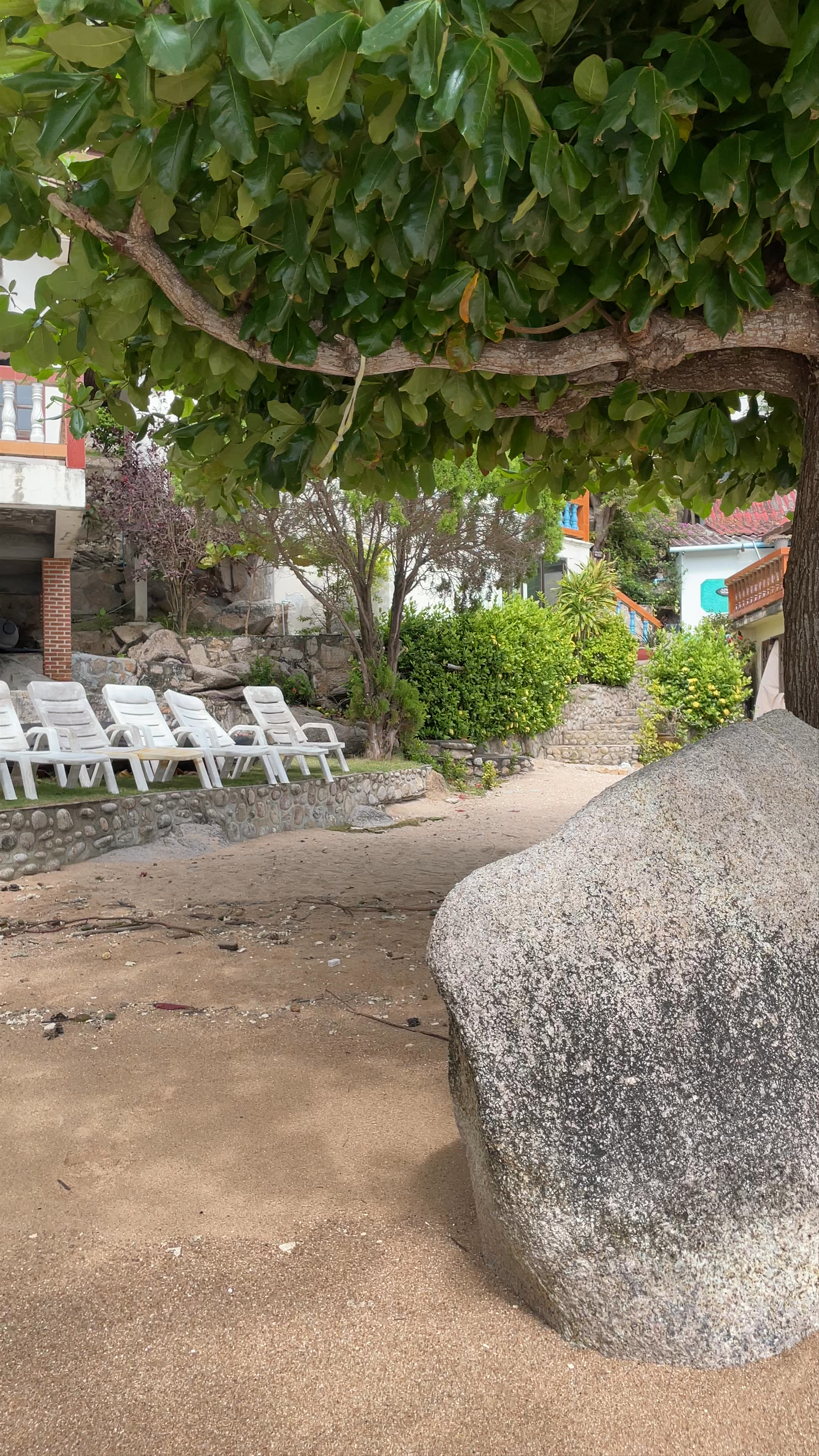 Calypso Diving Koh Tao