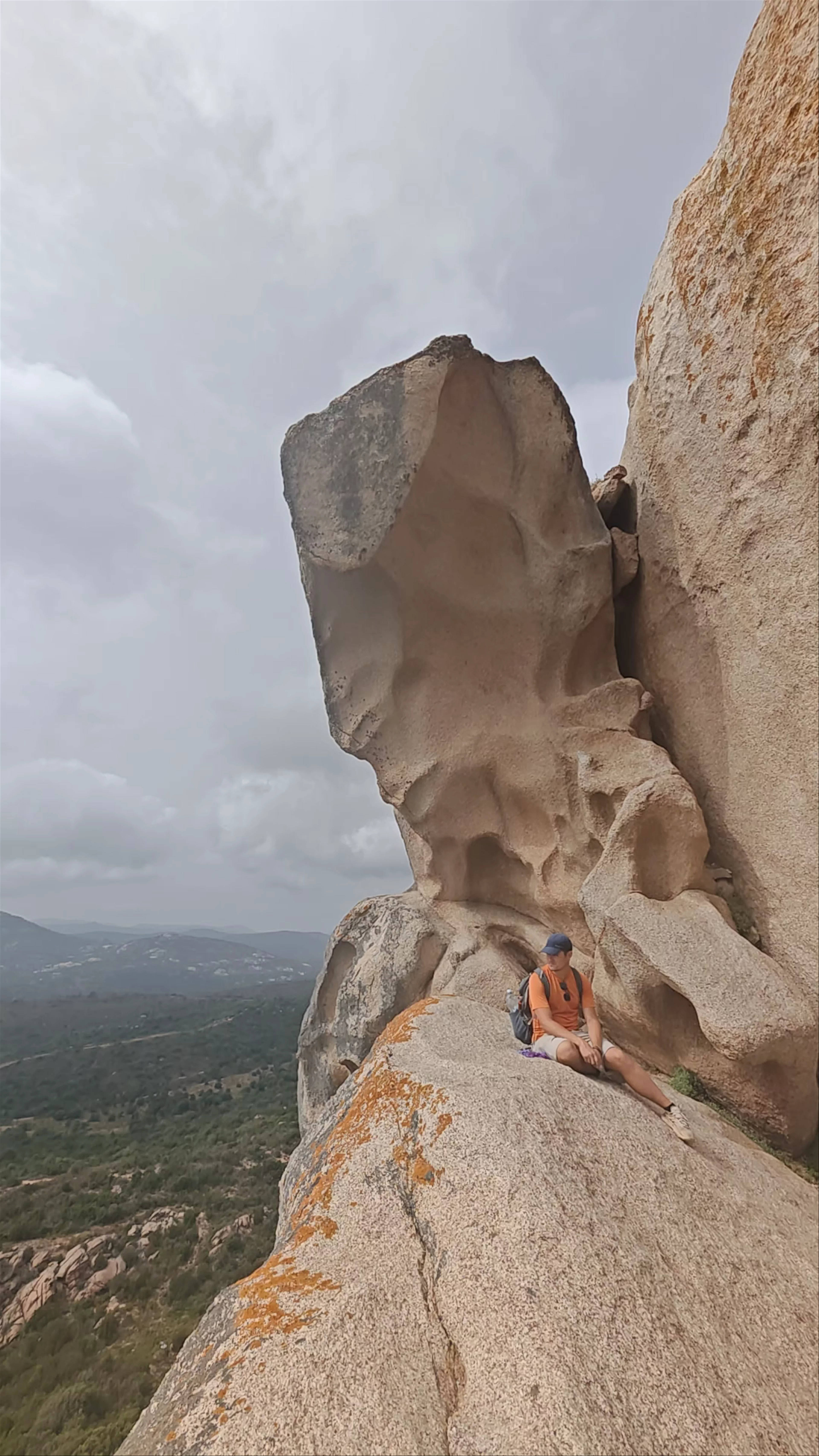 Lion de Roccapina