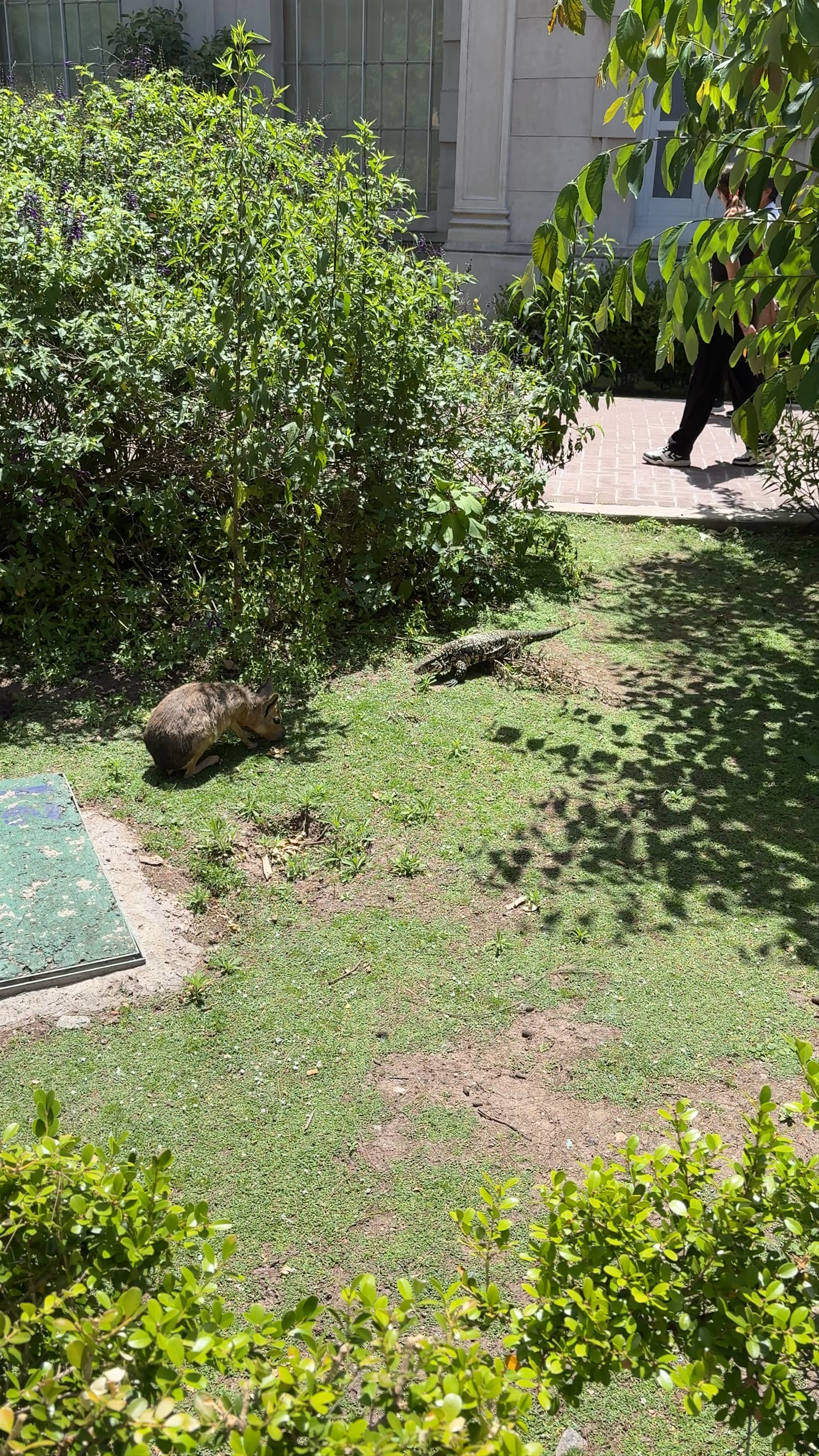 Entrada Ecoparque