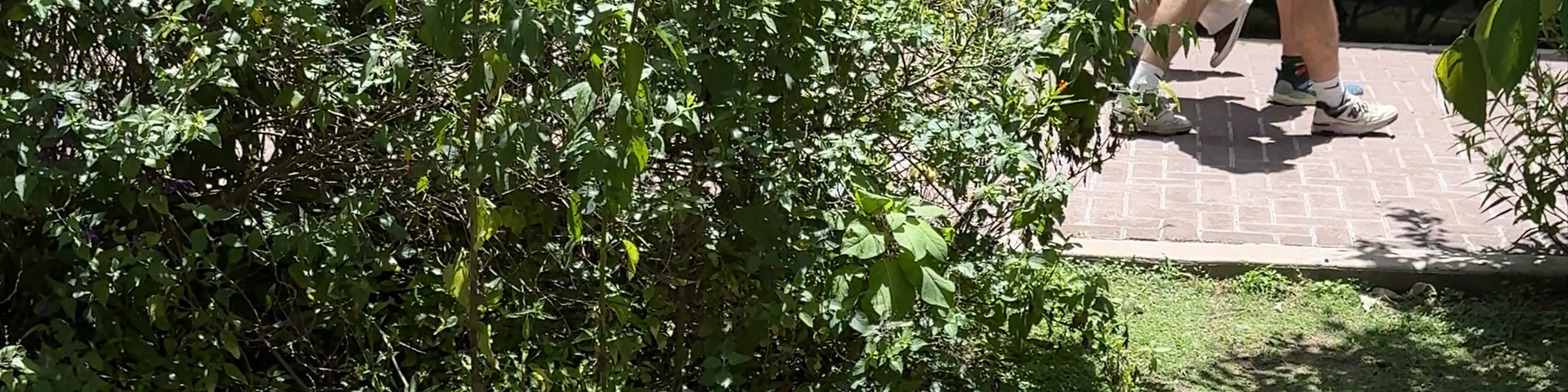 Entrada Ecoparque