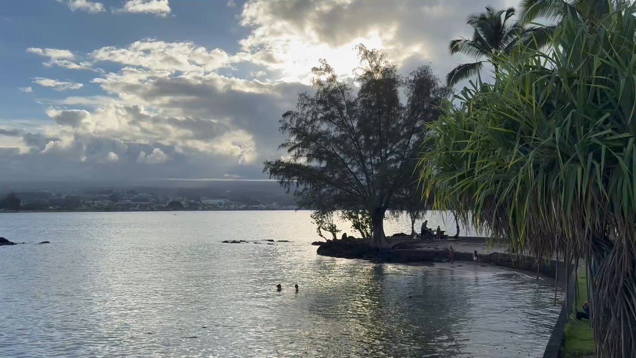 Coconut Island - Local swimming hole in paradise. - Parks Near Me - Hilo, Hawaii